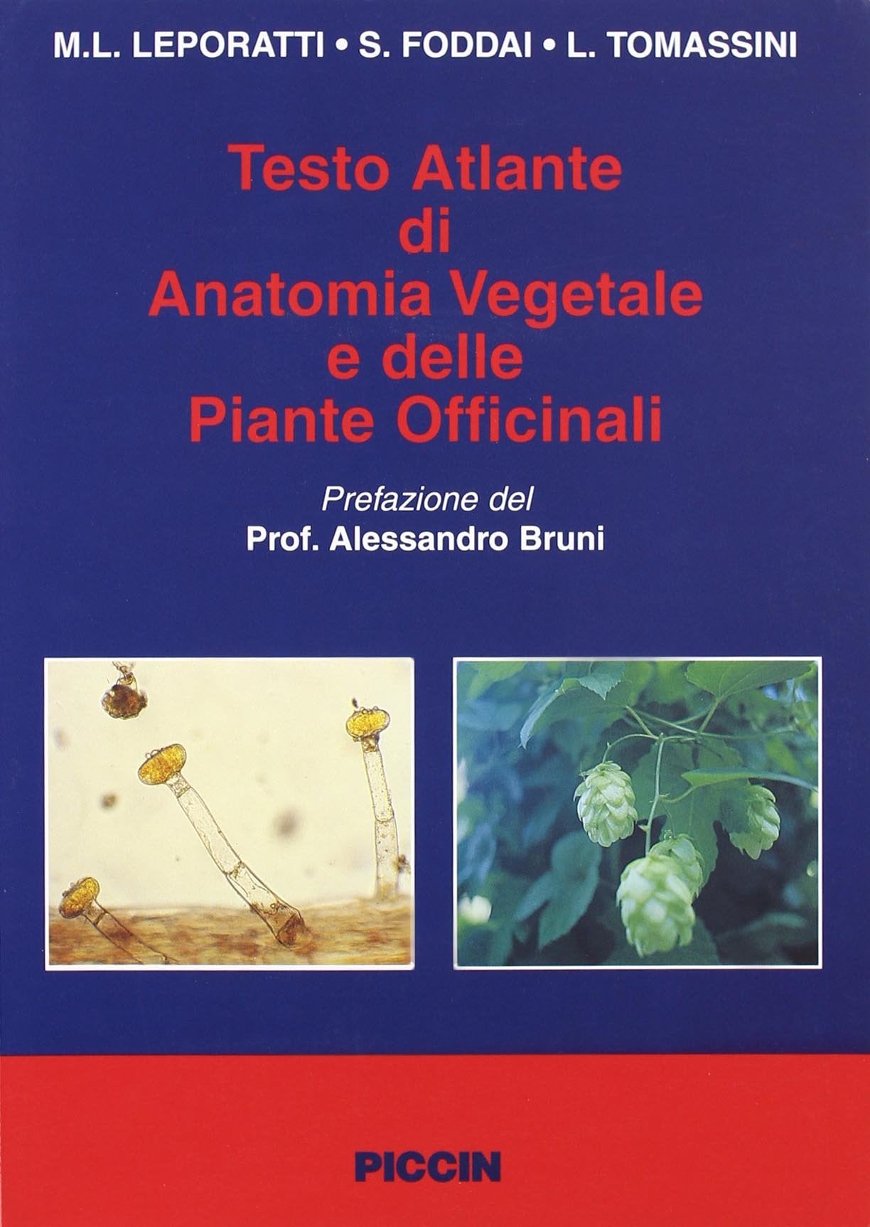 Testo atlante di anatomia vegetale e delle piante officinali book