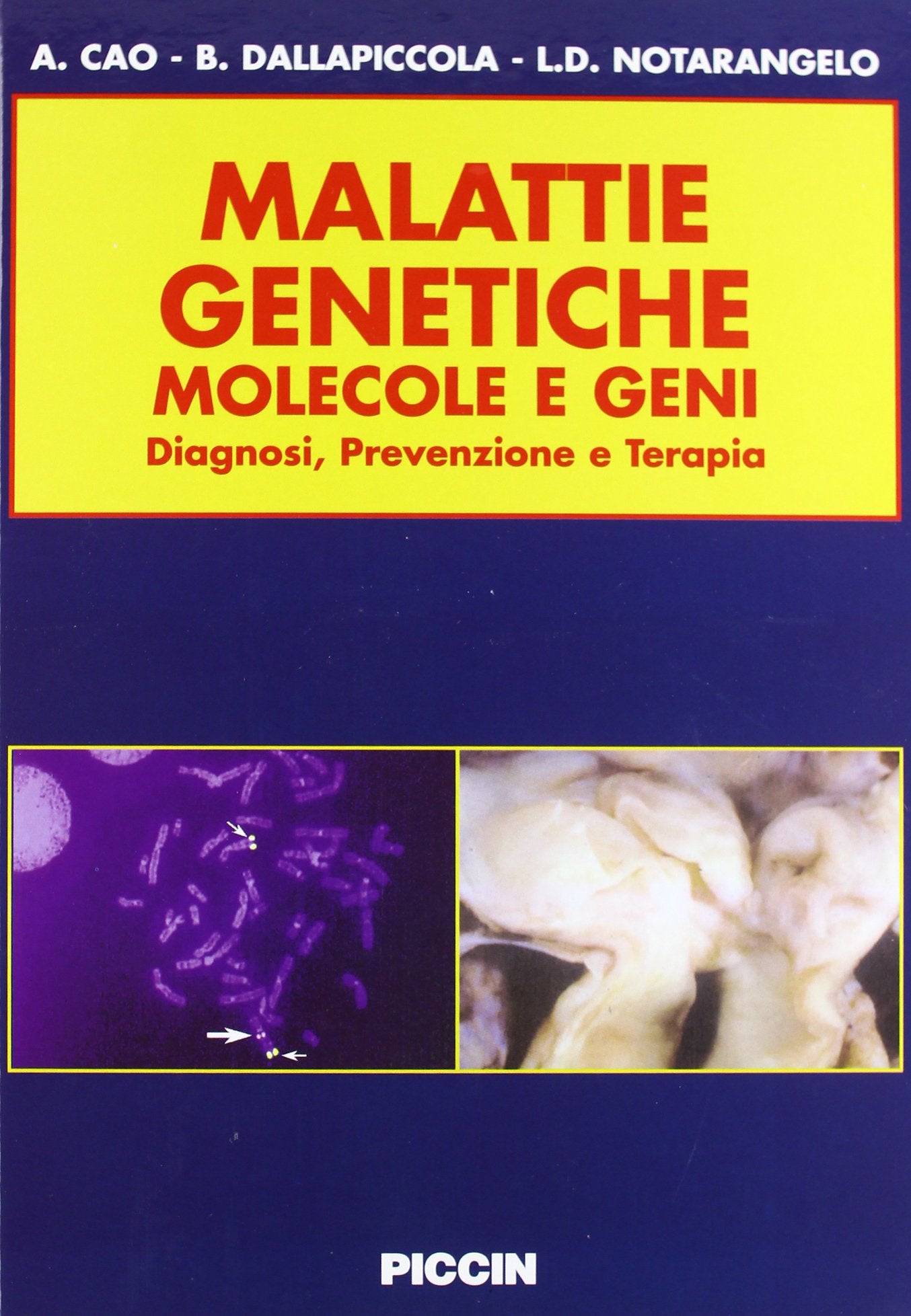 Malattie genetiche. Molecole e geni. Diagnosi, prevenzione e terapia Medicine