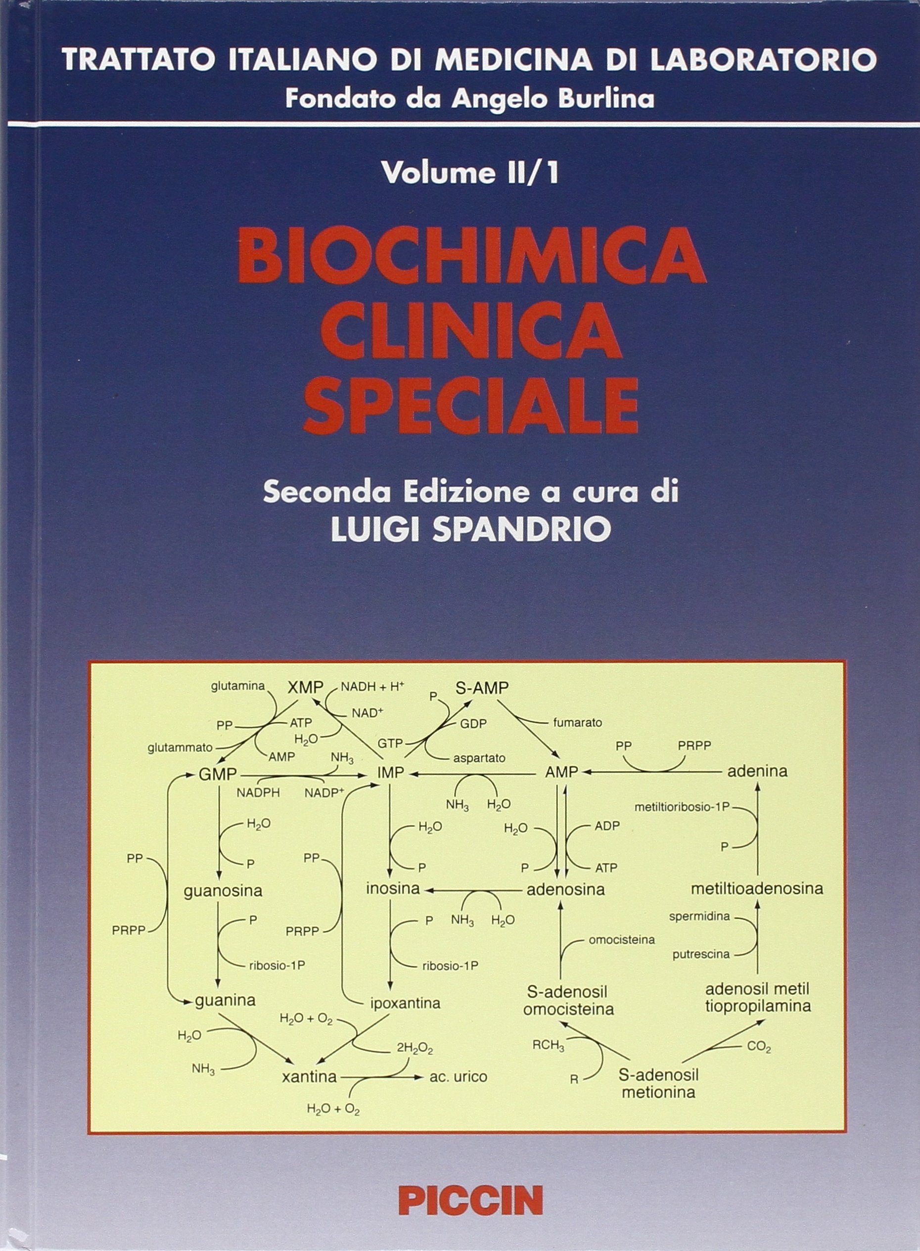 Trattato italiano di medicina di laboratorio. Biochimica clinica speciale (Vol. 2) Medicine