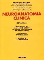 Neuroanatomia clinica. Ediz. italiana e inglese Medicine