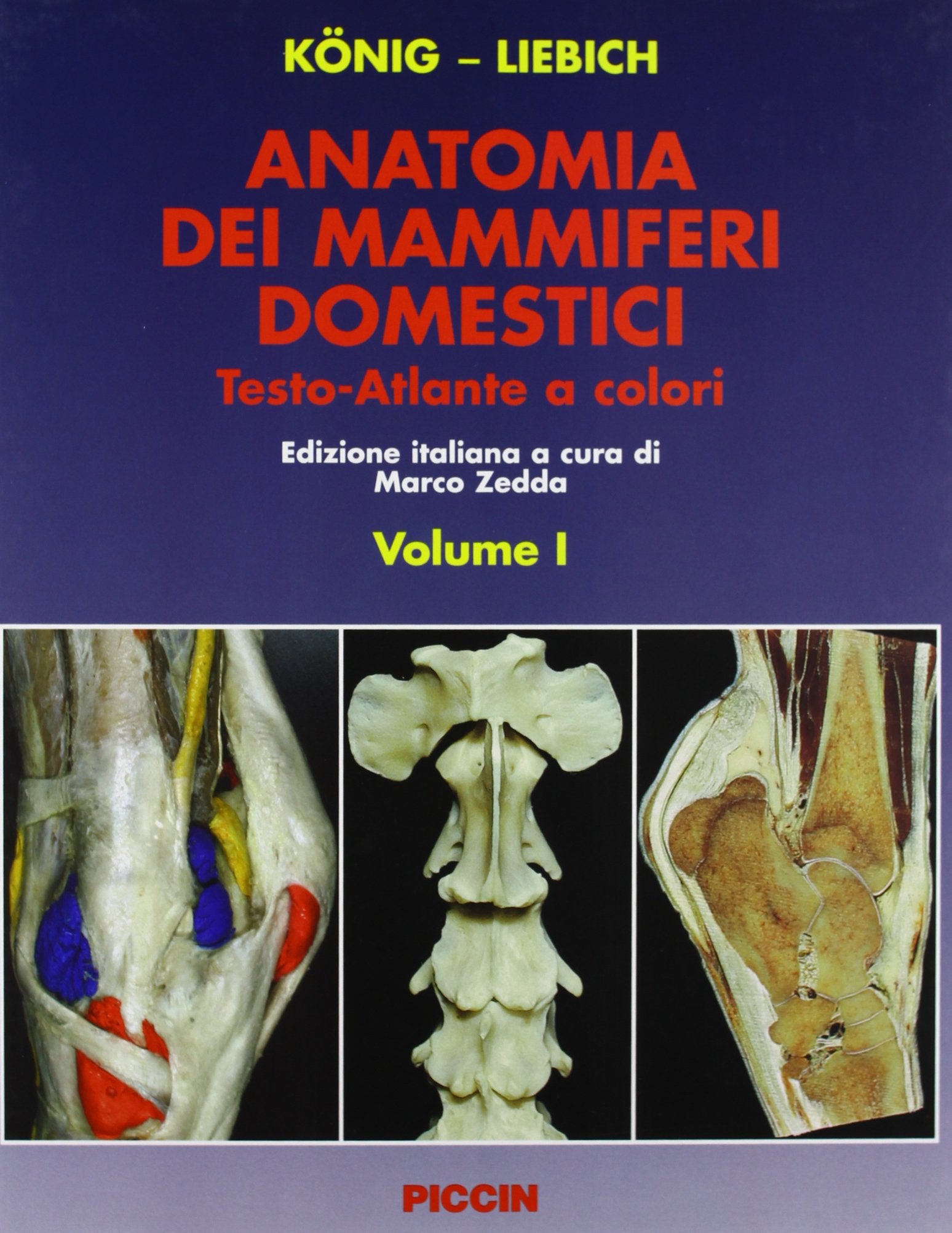 Anatomia dei mammiferi domestici book