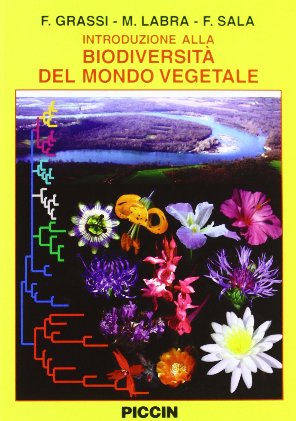 Introduzione alla biodiversità del mondo vegetale Mathematics