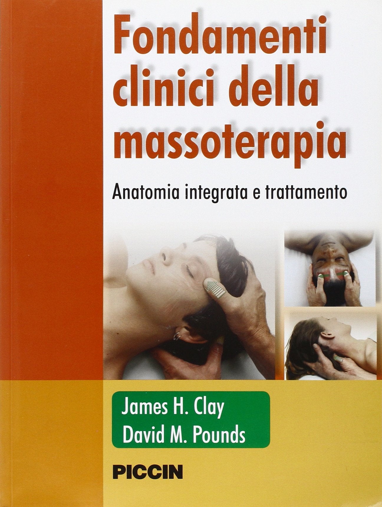 Fondamenti clinici della massoterapia. Anatomia integrata e trattamenti Medicine