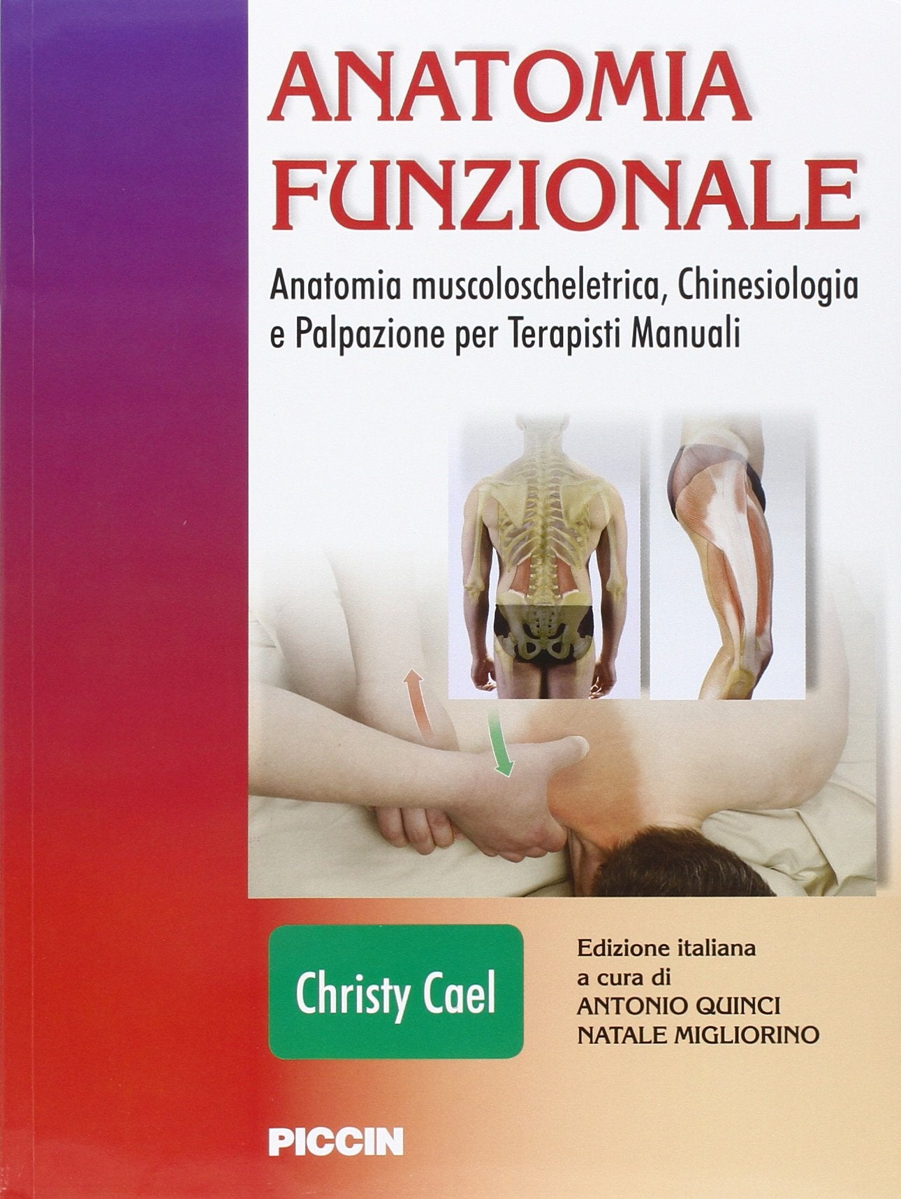 Anatomia funzionale. Anatomia muscoloscheletrica, chinesiologia e palpazione per terapisti manuali book