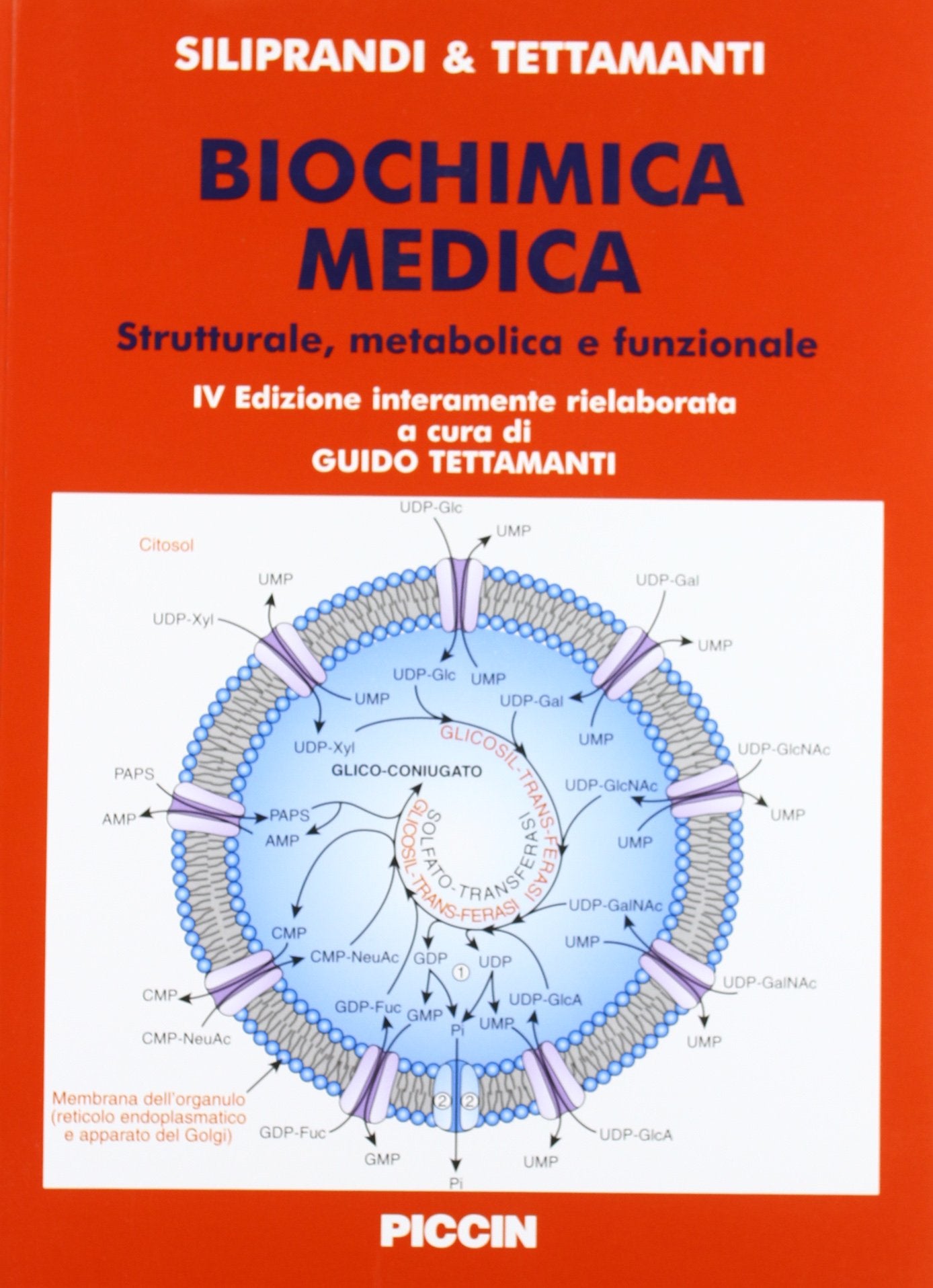 Biochimica medica strutturale metabolica e funzionale book