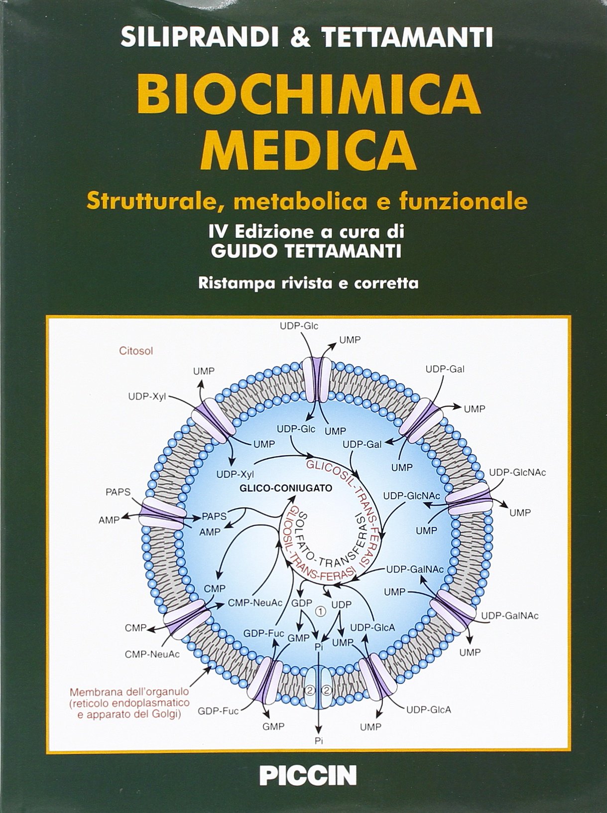Biochimica medica strutturale metabolica e funzionale Medicine