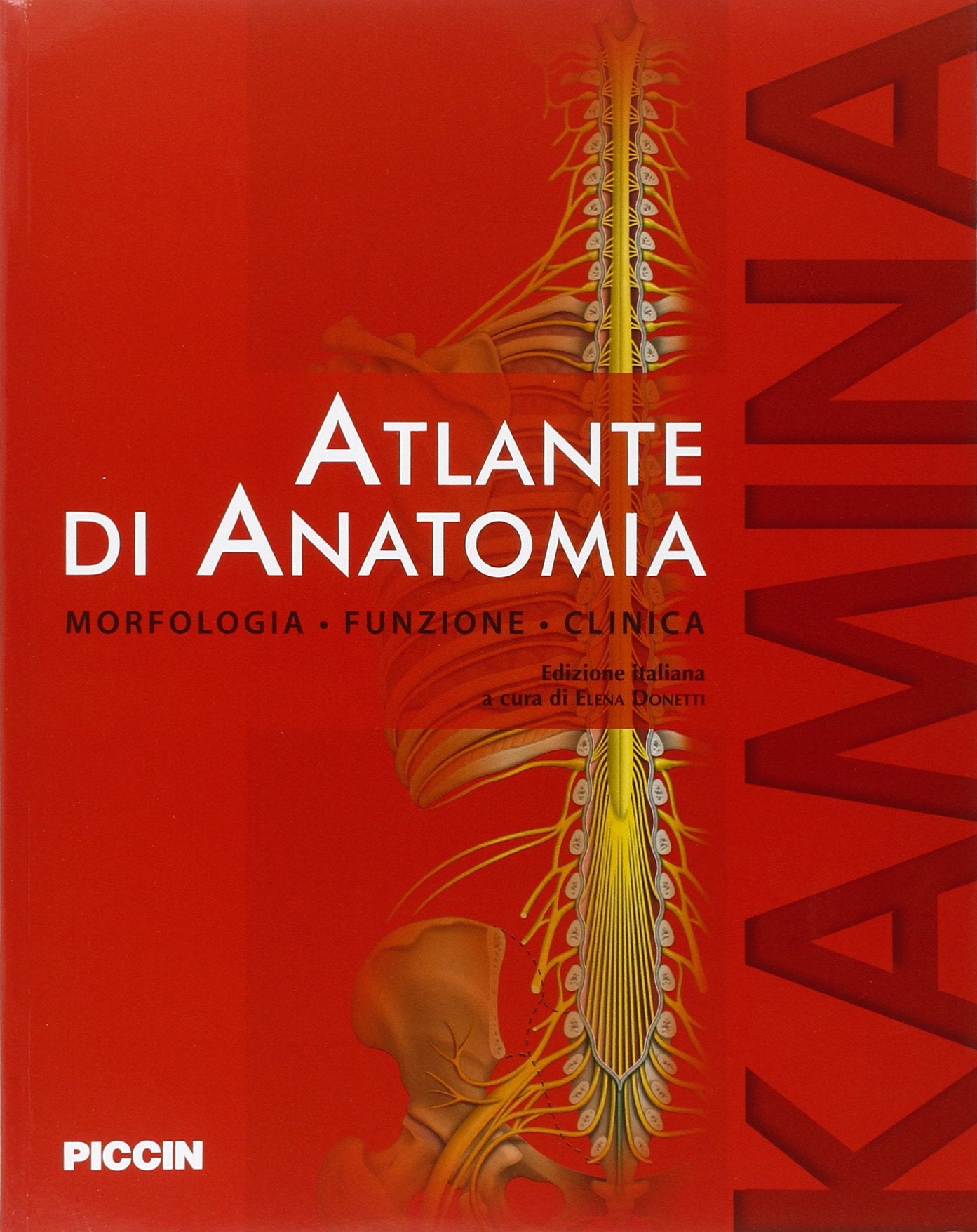 Atlante di anatomia. Morfologia, funzione, clinica Medicine