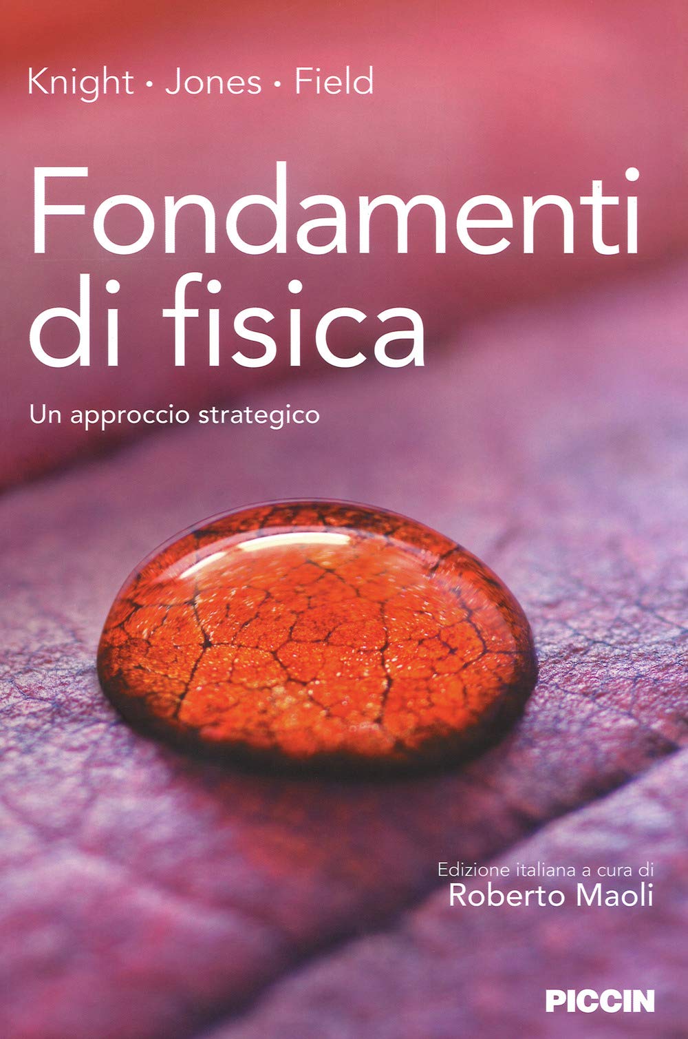 Fondamenti di fisica. Un approccio strategico Natural Sciences