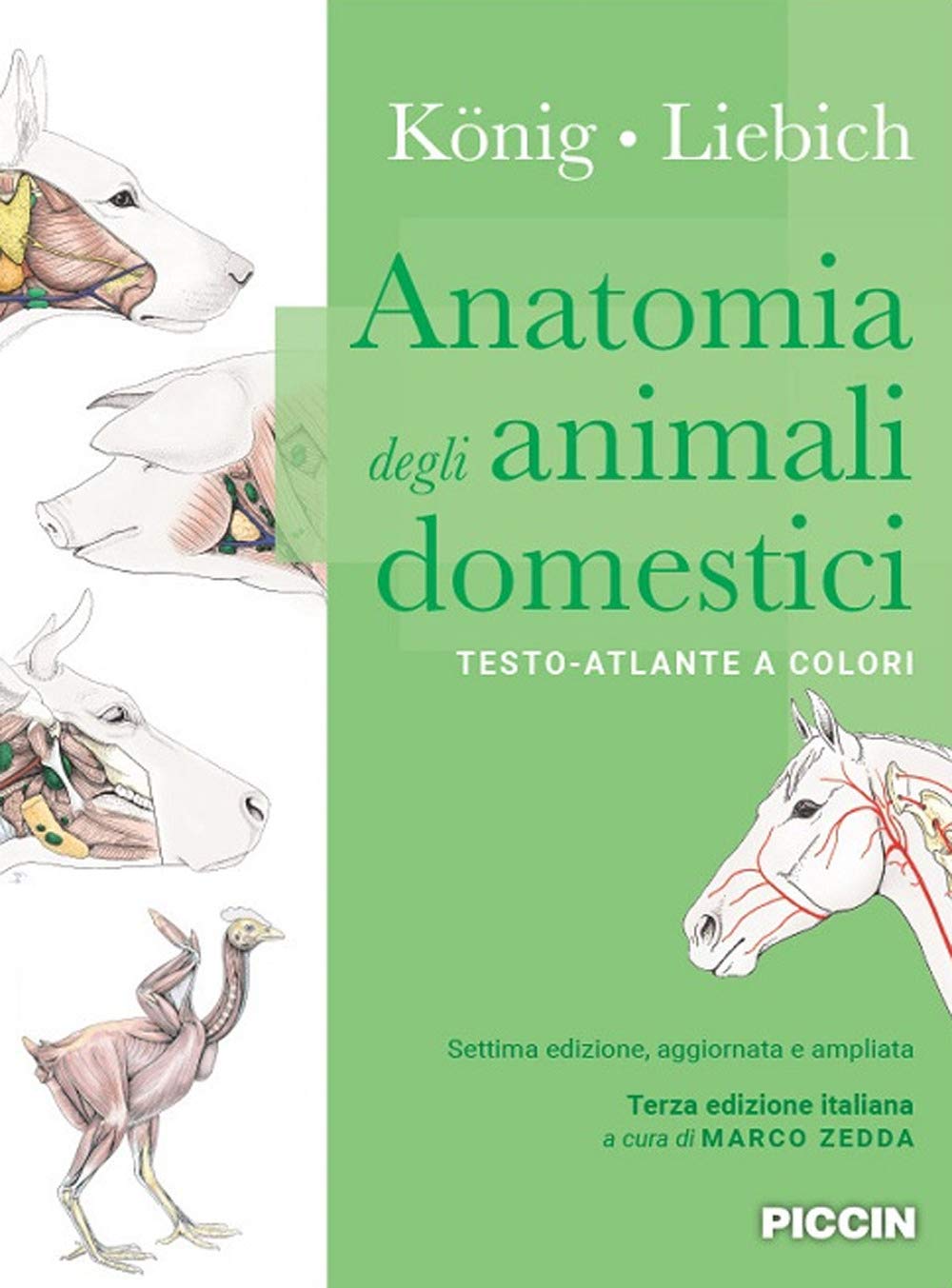 Anatomia degli animali domestici. Testo-atlante a colori Medicine