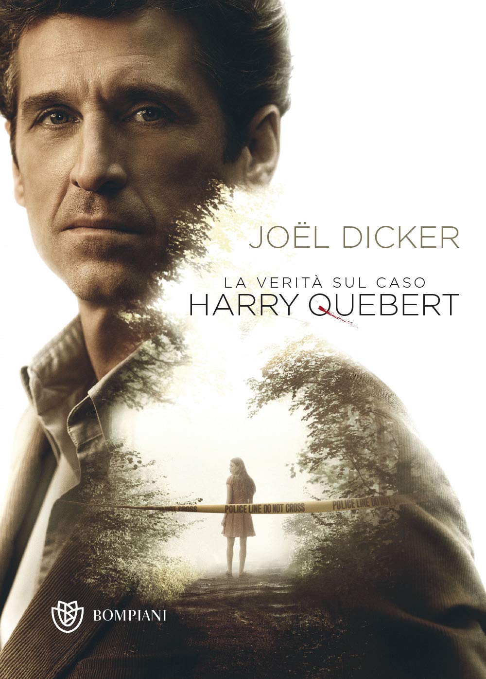 La verità sul caso Harry Quebert (Narrativa straniera) Contemporary literature