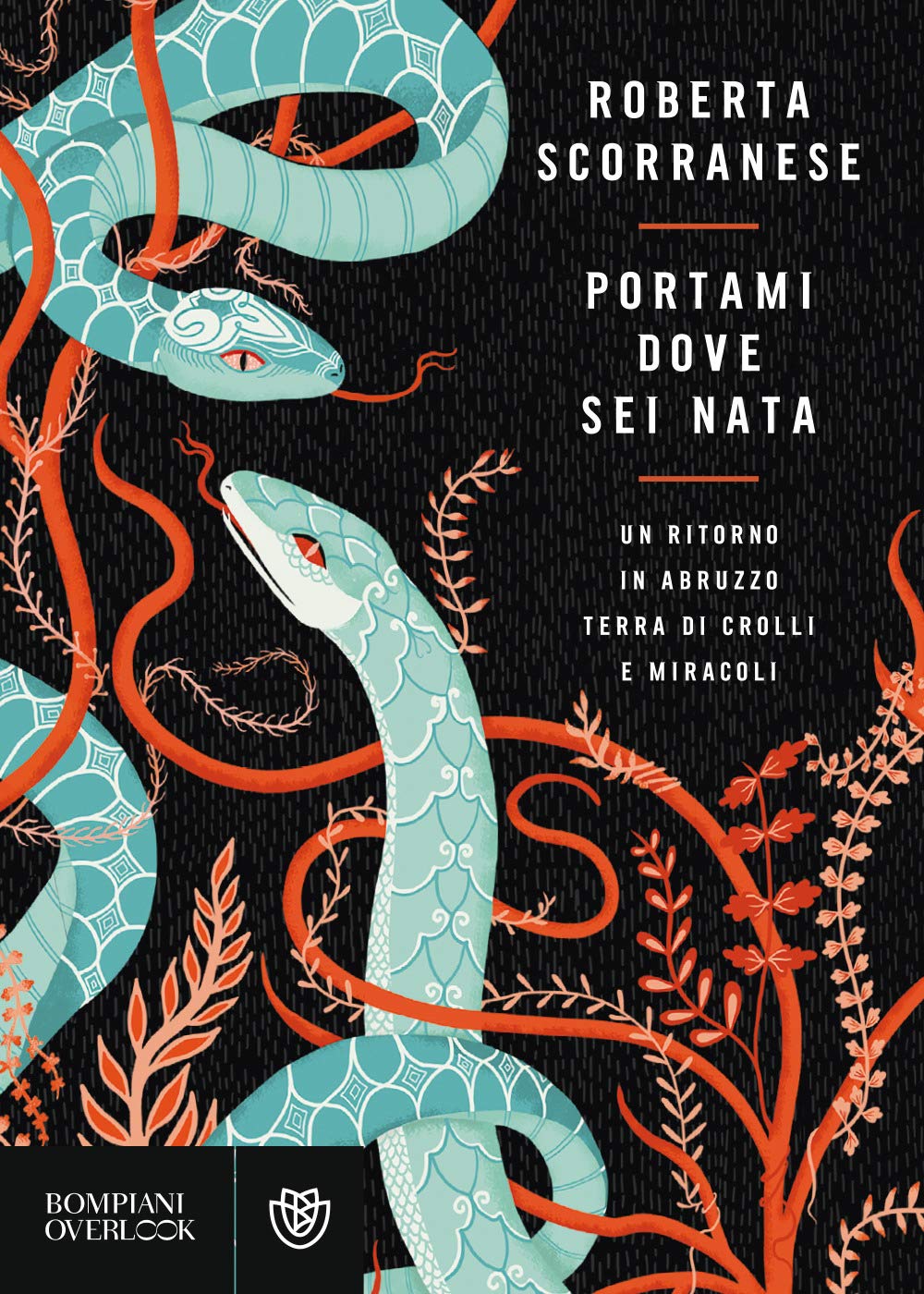 Portami dove sei nata. Un ritorno in Abruzzo, terra di crolli e miracoli Contemporary literature