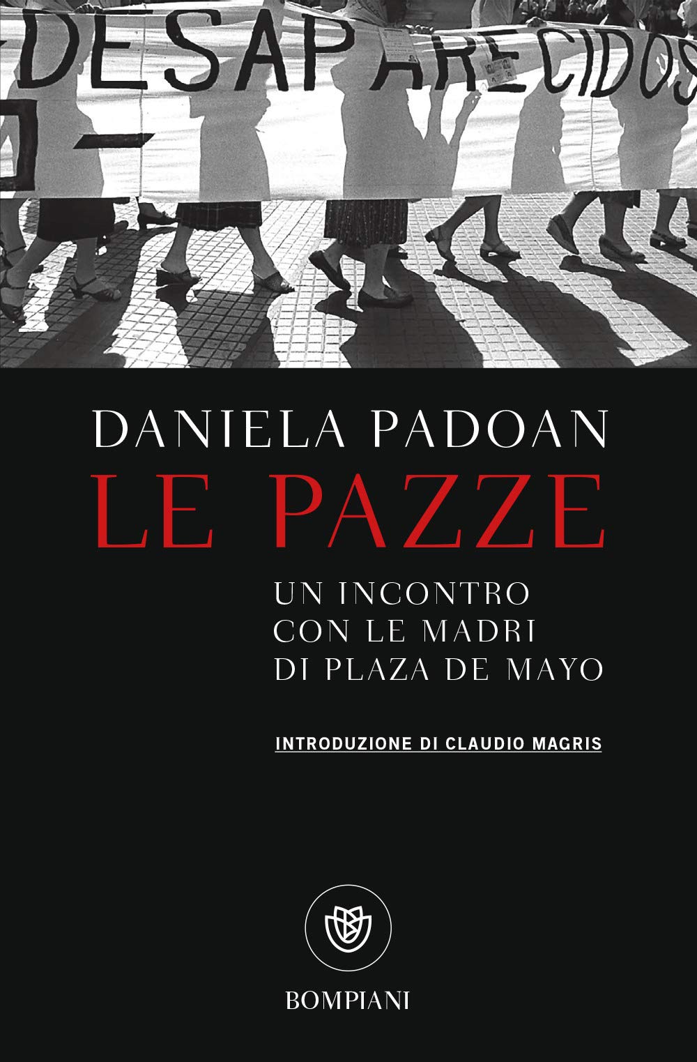 Le pazze: Un incontro con le madri di Plaza De Mayo book