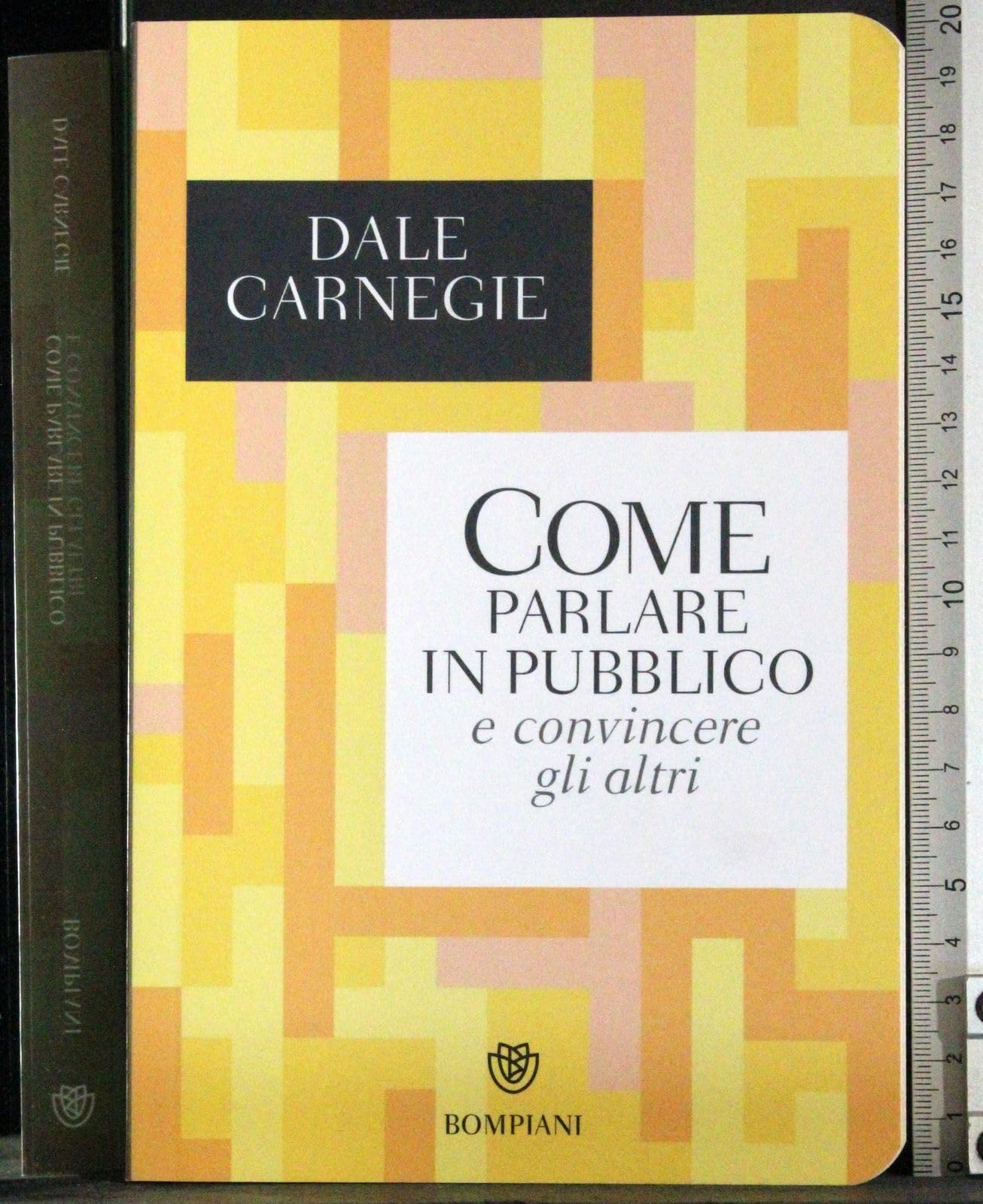 Come parlare in pubblico e convincere gli altri book