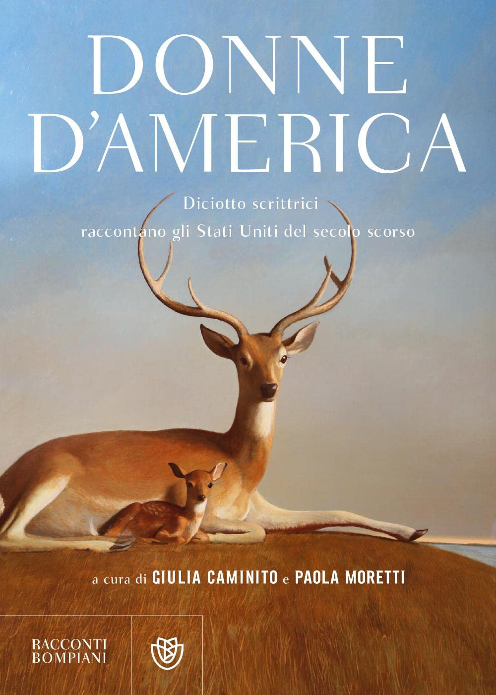 Donne d'America: Diciotto scrittrici raccontano gli Stati Uniti del secolo scorso book