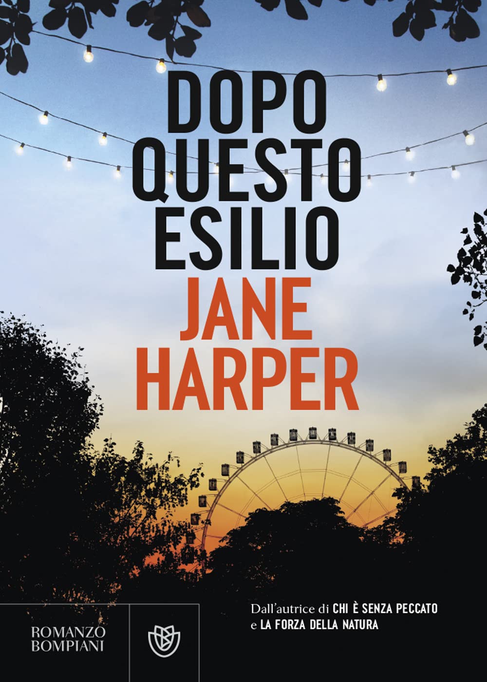 Dopo questo esilio (Narrativa straniera) Contemporary literature