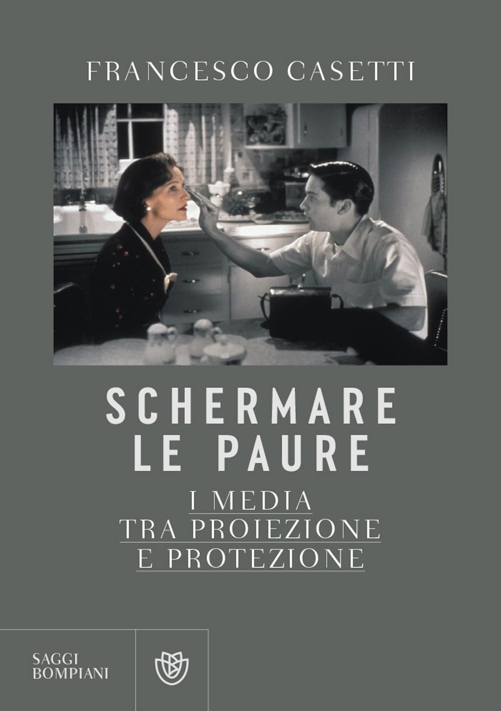 Schermare le paure. I media tra proiezione e protezione book