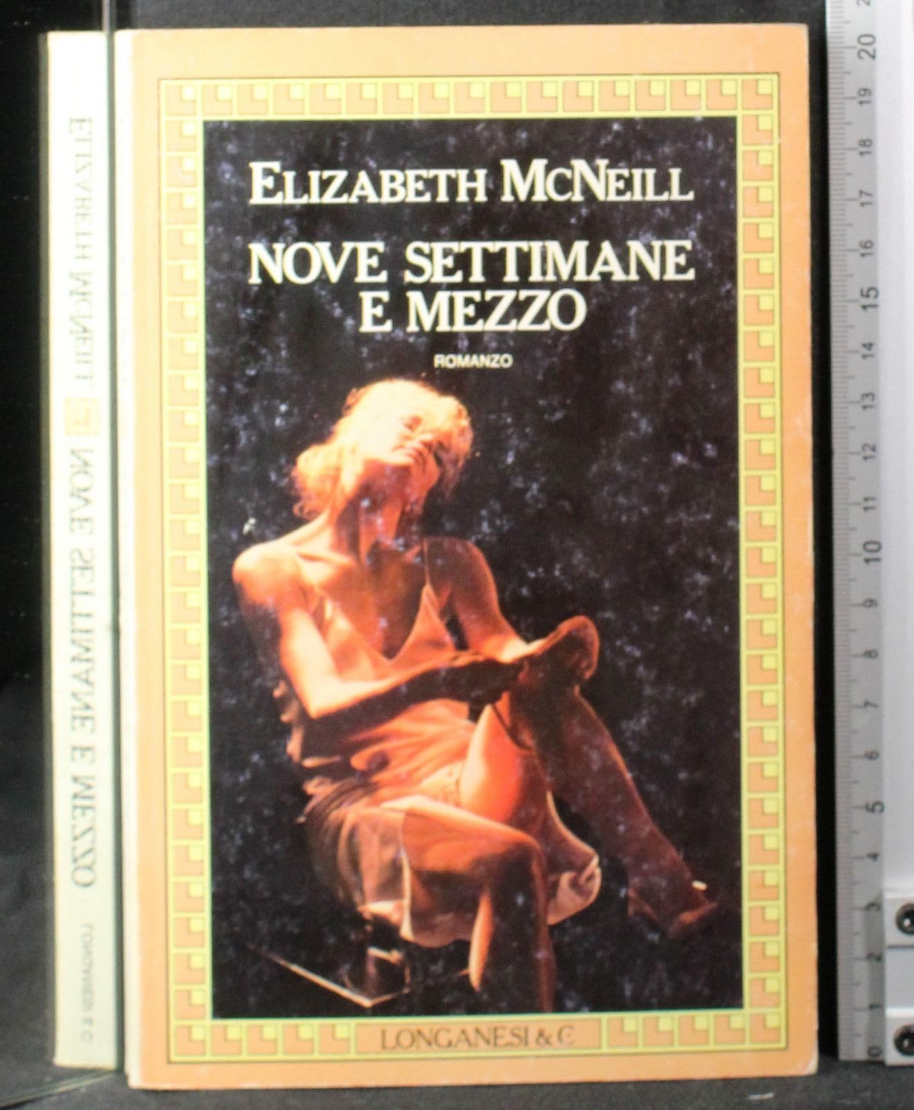 Nove settimane e mezzo (La Gaja scienza, Band 136) Contemporary literature