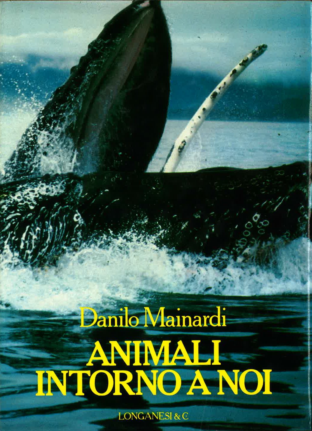 Animali intorno a noi book
