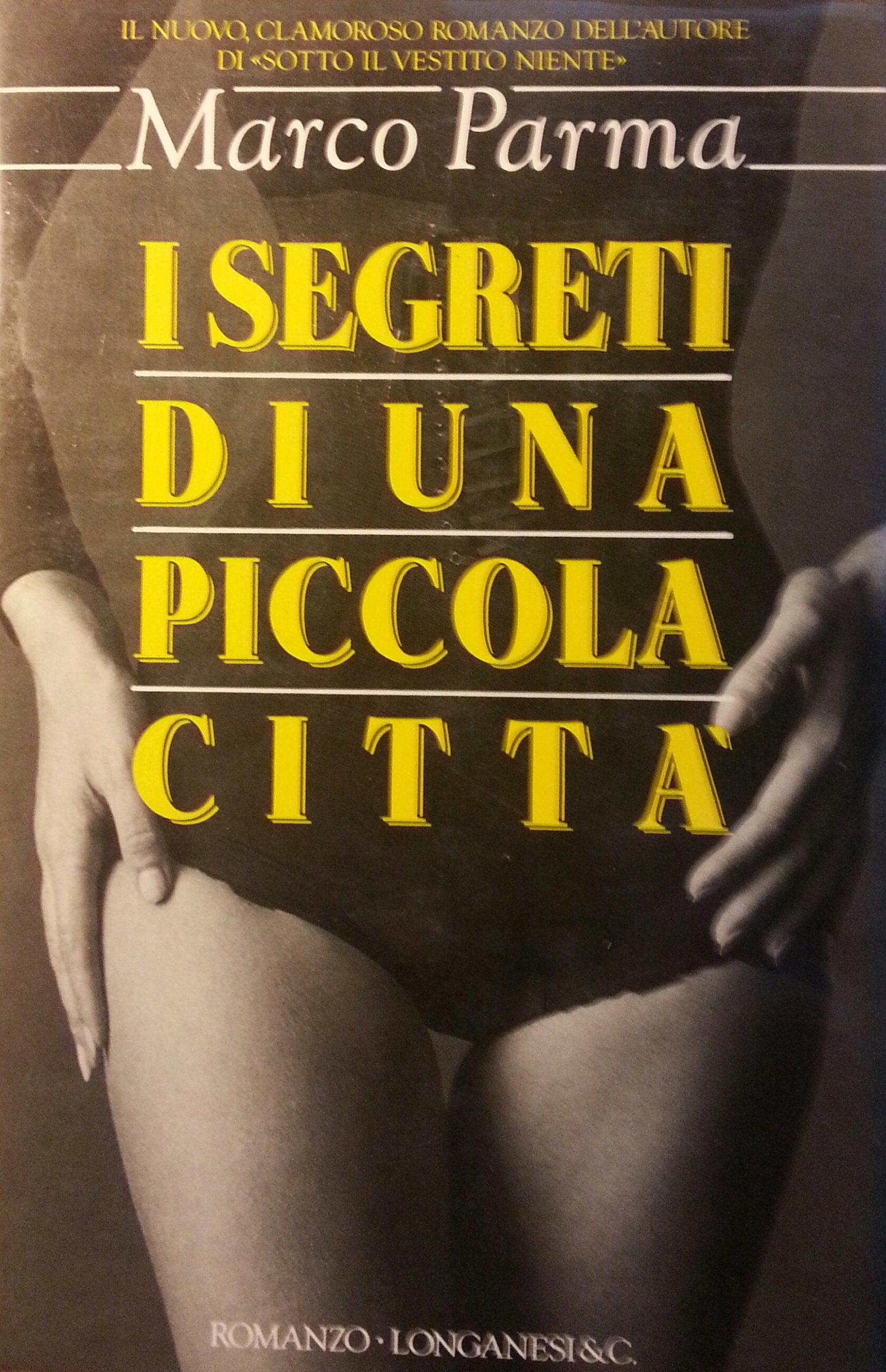 I segreti di una piccola città book