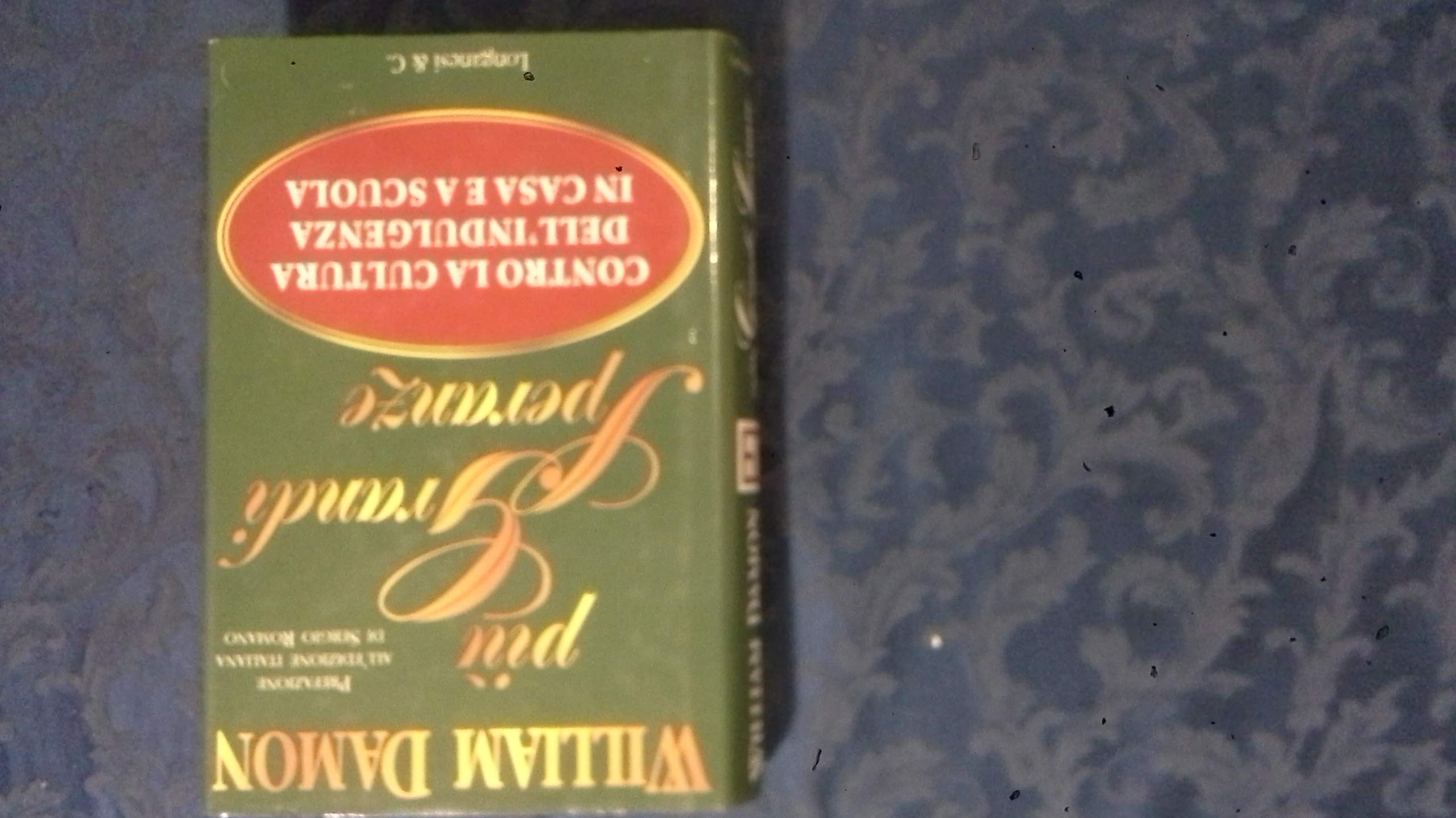 Più grandi speranze. Contro la cultura dell'indulgenza a casa e a scuola book
