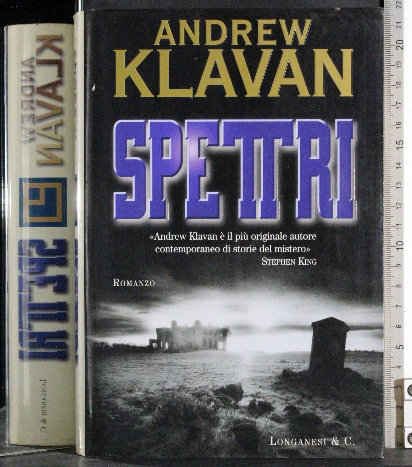 Spettri (La Gaja scienza, Band 560) Contemporary literature