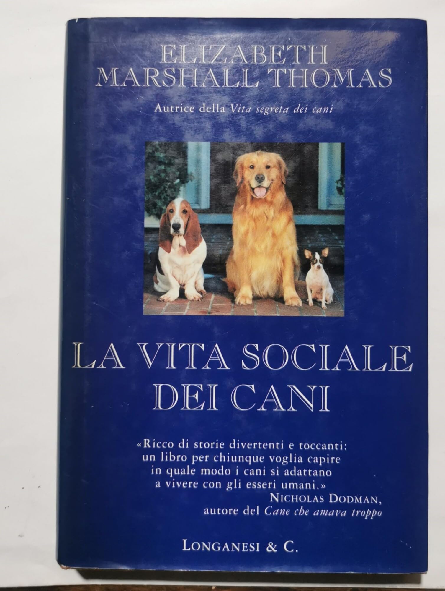 La vita sociale dei cani (Il Cammeo, Band 380) Pets