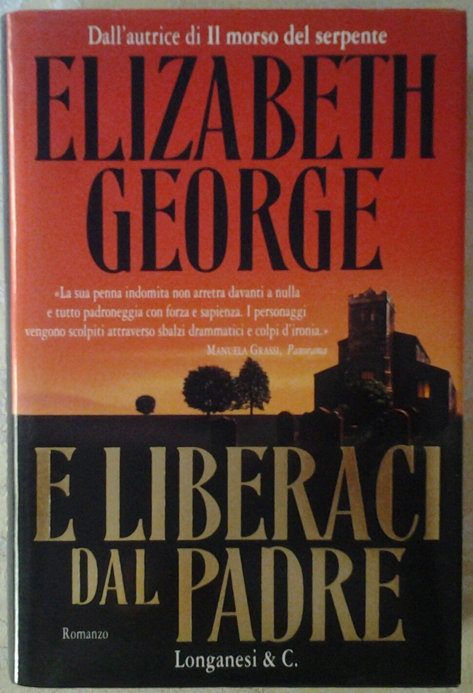 E liberaci dal padre (La Gaja scienza, Band 630) Contemporary literature Books