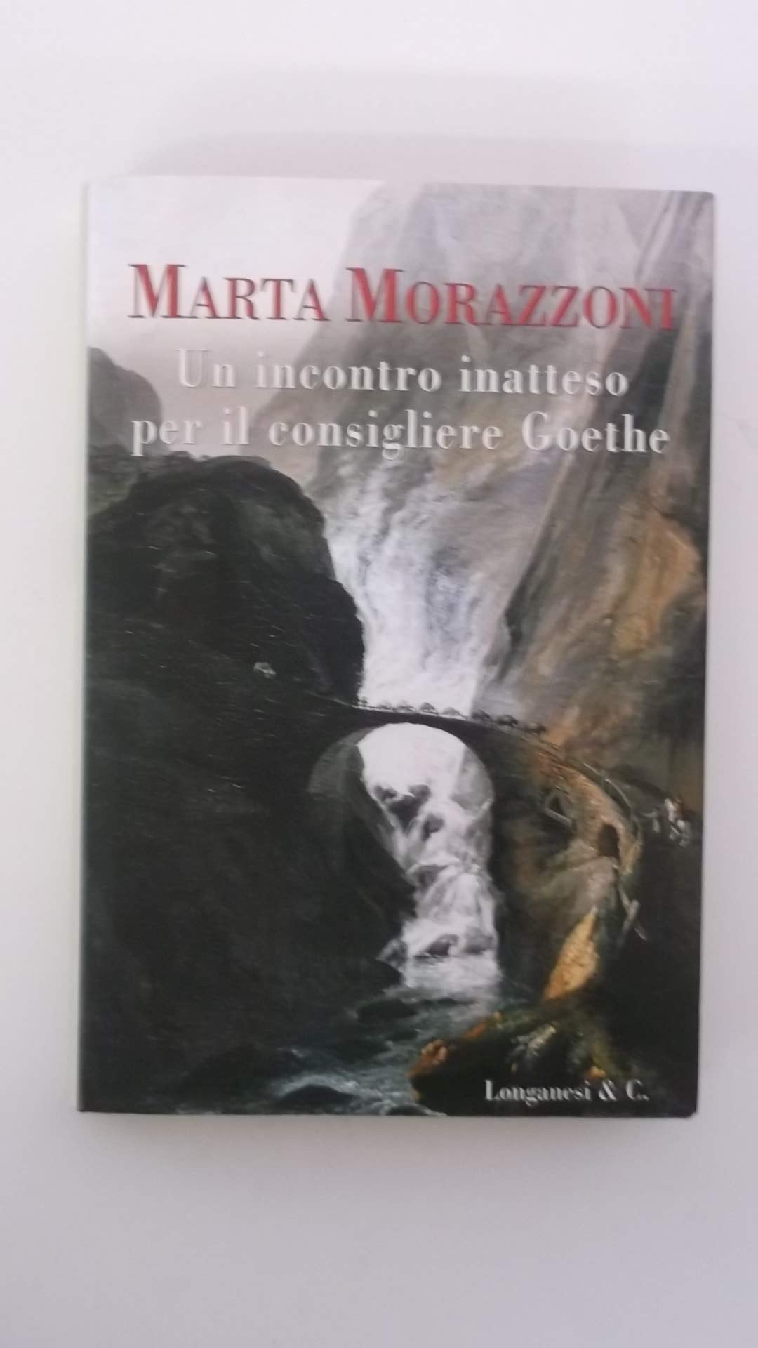 Un incontro inatteso per il consigliere Goethe book