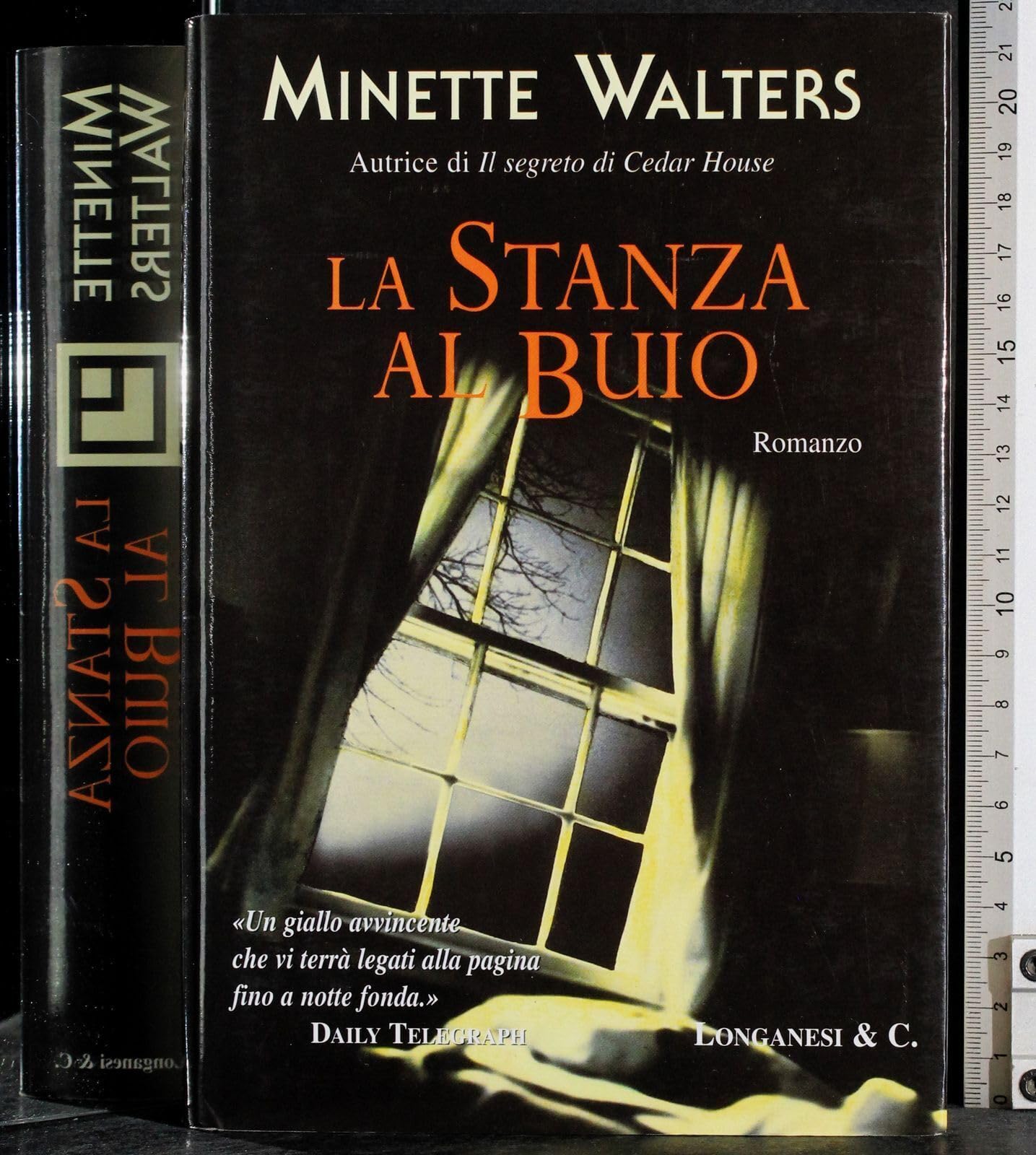 La stanza al buio (La Gaja scienza, Band 707) Contemporary literature