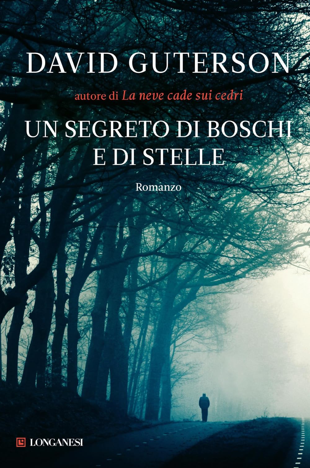 Un segreto di boschi e di stelle (La Gaja scienza, Band 990) Contemporary literature