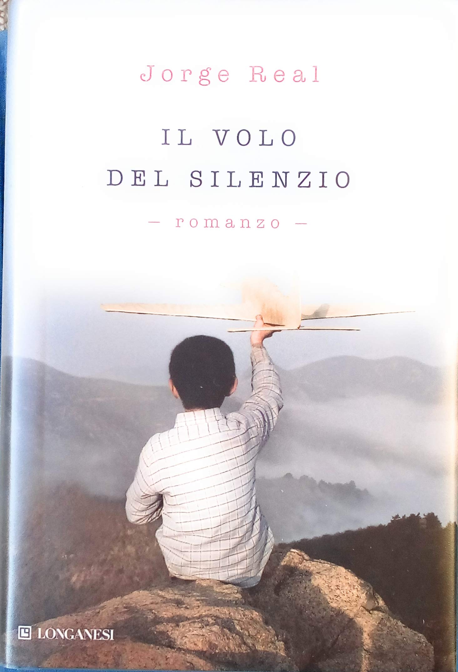 Il volo del silenzio (La Gaja scienza, Band 1013) Contemporary literature