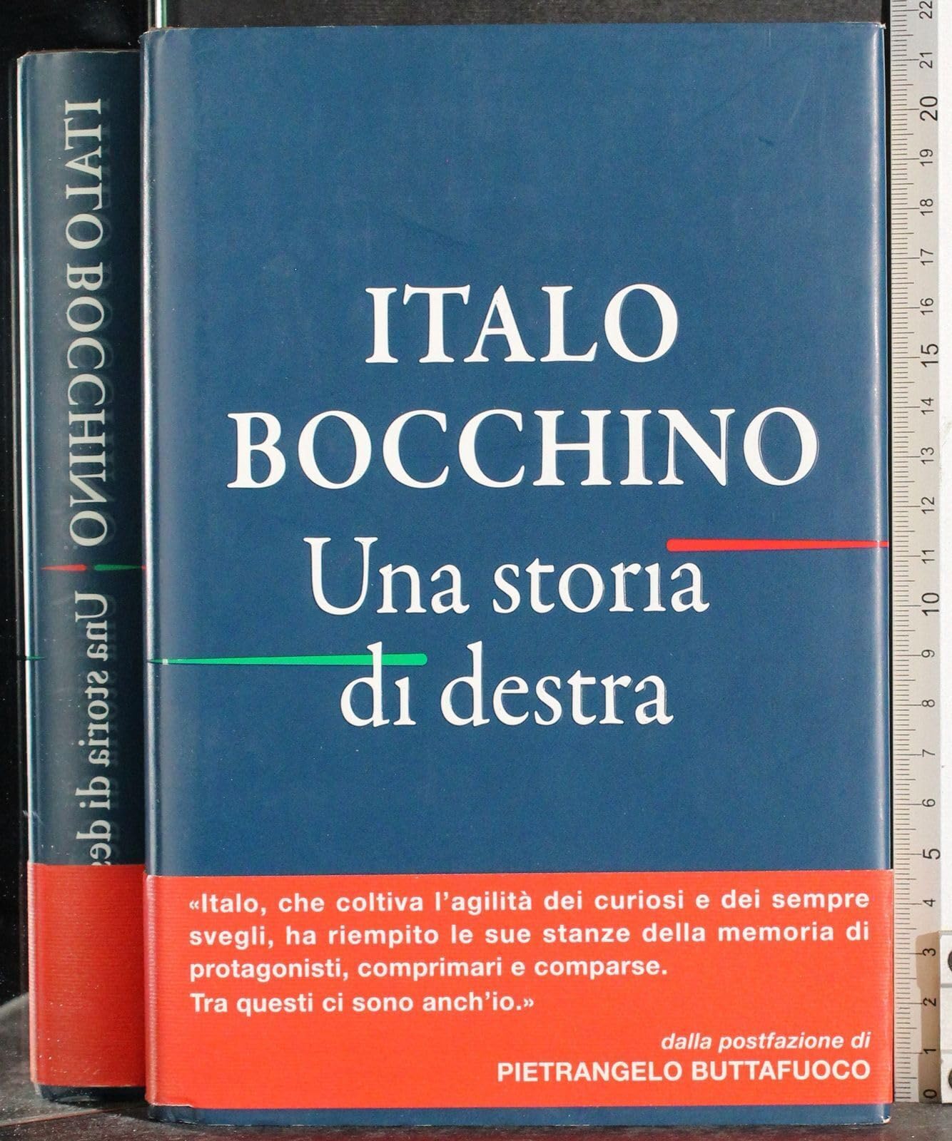 Una storia di destra (Il Cammeo, Band 538) Politics & Society