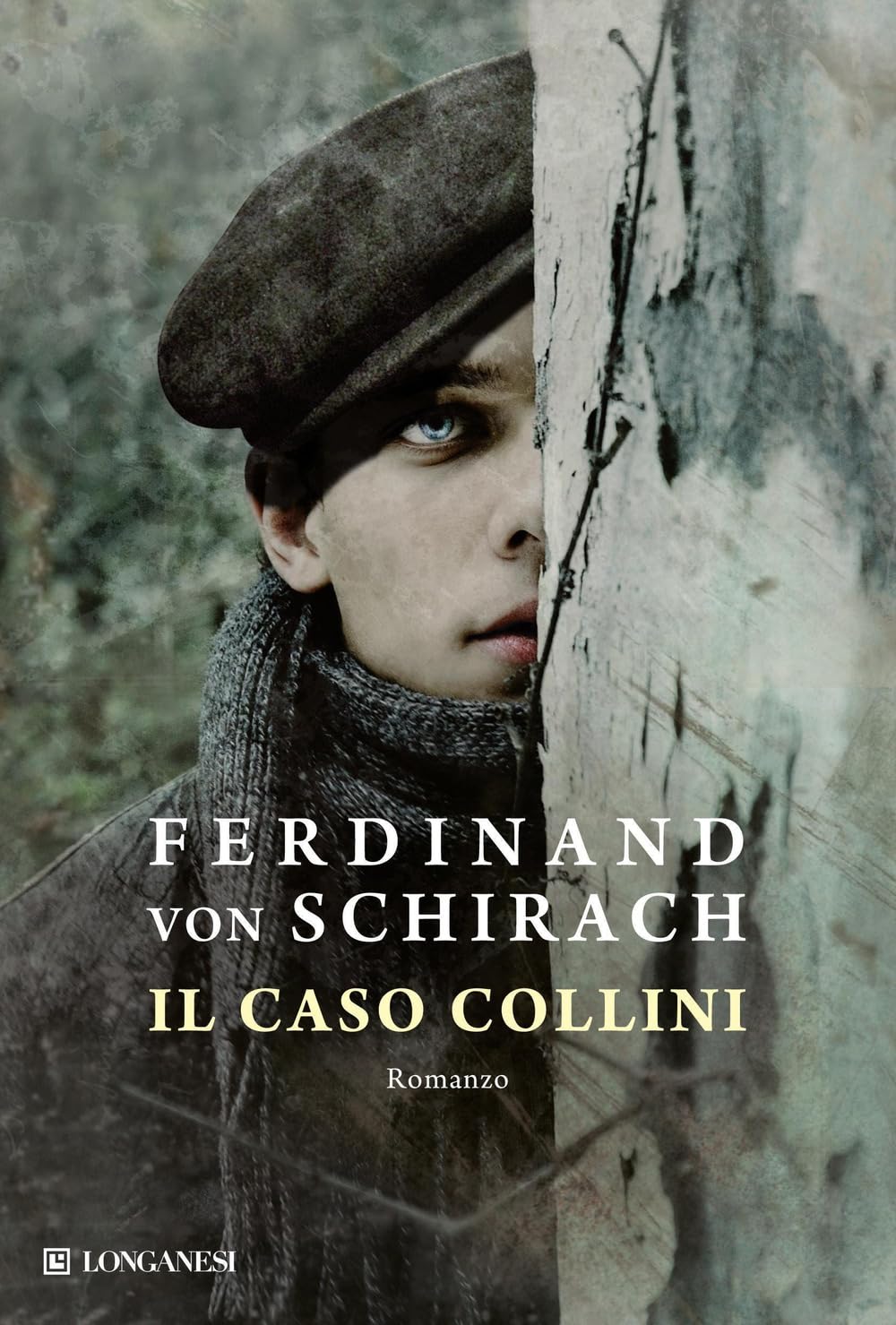 Il caso Collini (La Gaja scienza, Band 1047) Contemporary literature