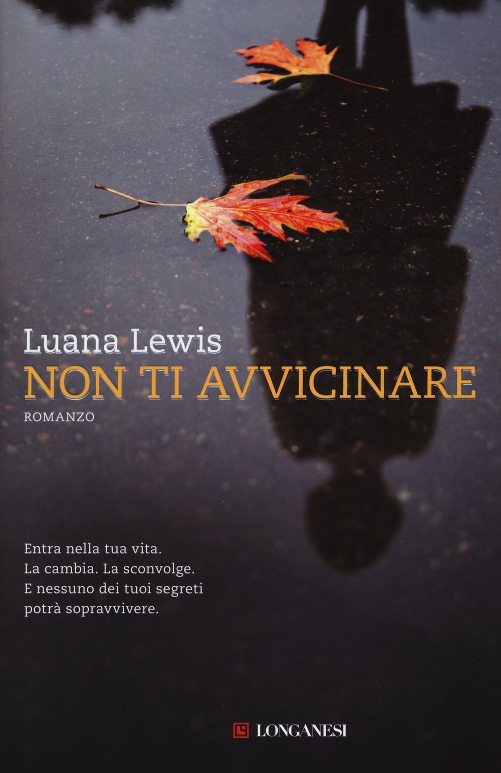 Non ti avvicinare (La Gaja scienza, Band 1175) Contemporary literature