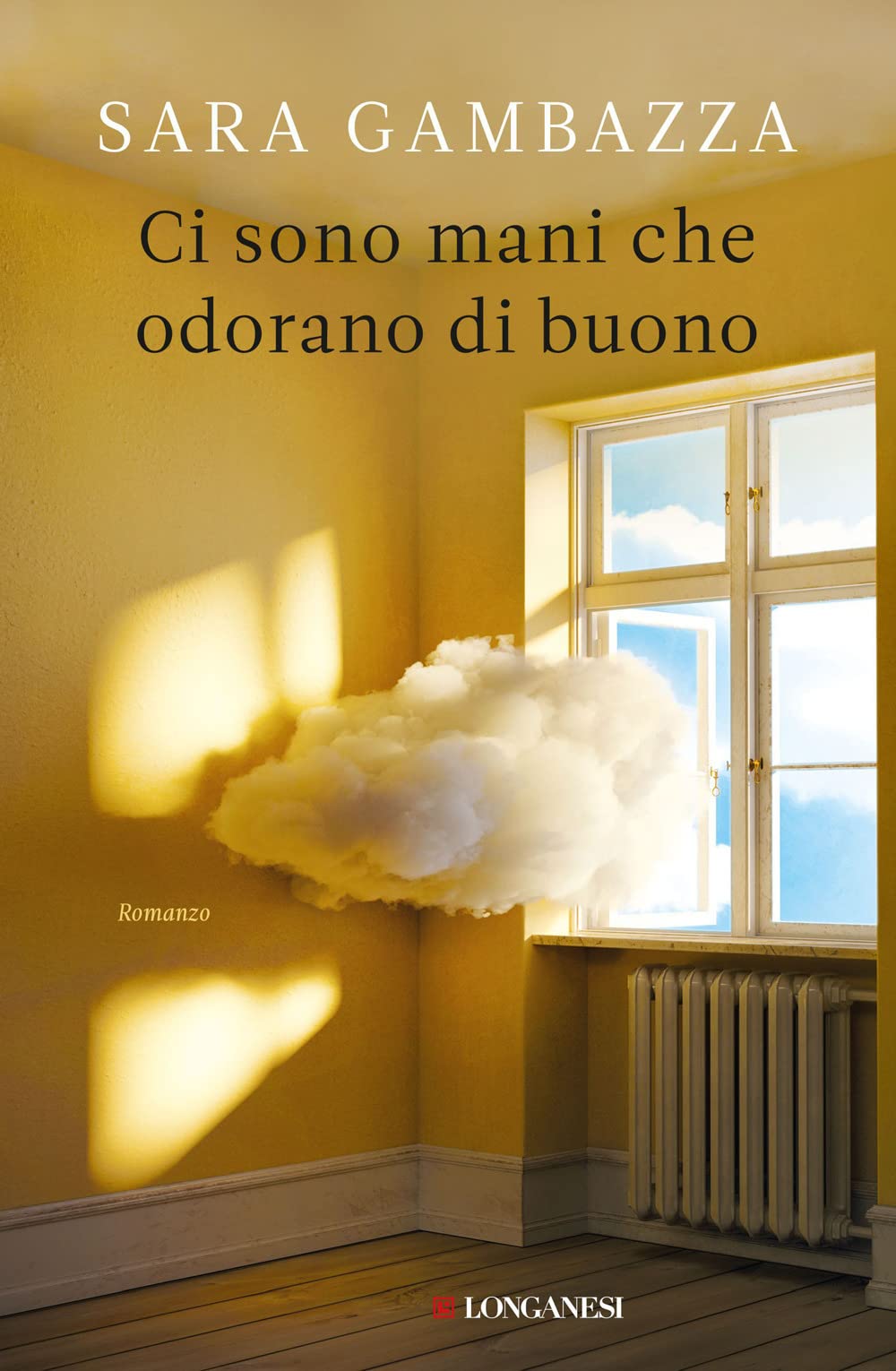 Ci sono mani che odorano di buono book