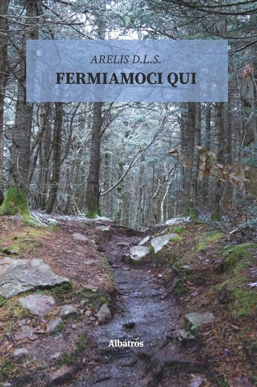 Fermiamoci qui (Nuove voci. Strade) Contemporary literature