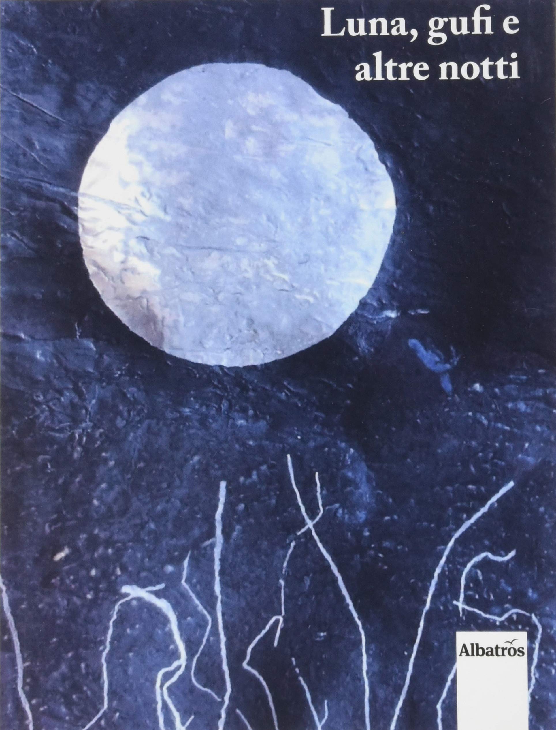 Luna, gufi e altre notti (Nuove voci. Le piume) Poetry