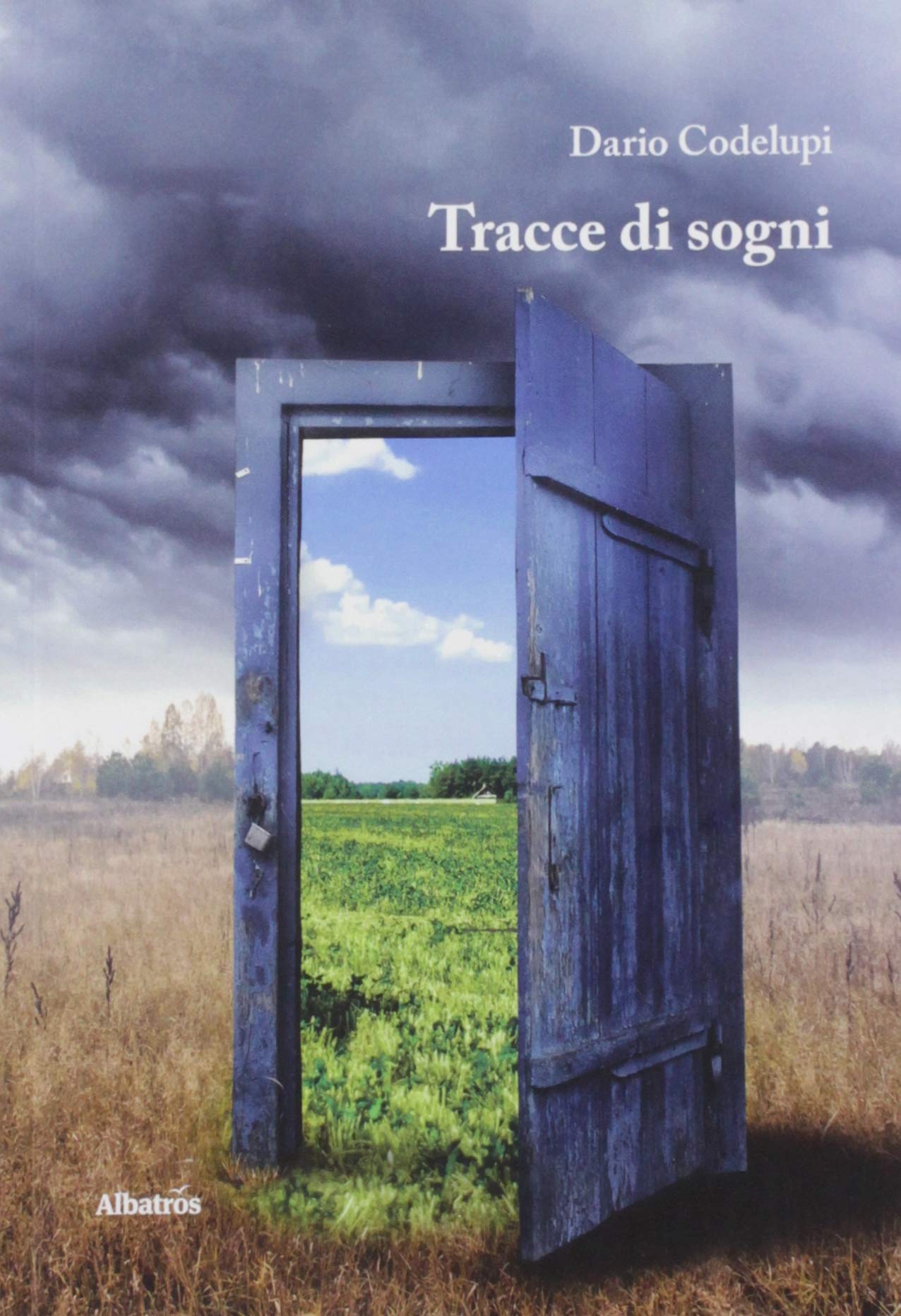 Tracce di sogni (Nuove voci. Le piume) Poetry