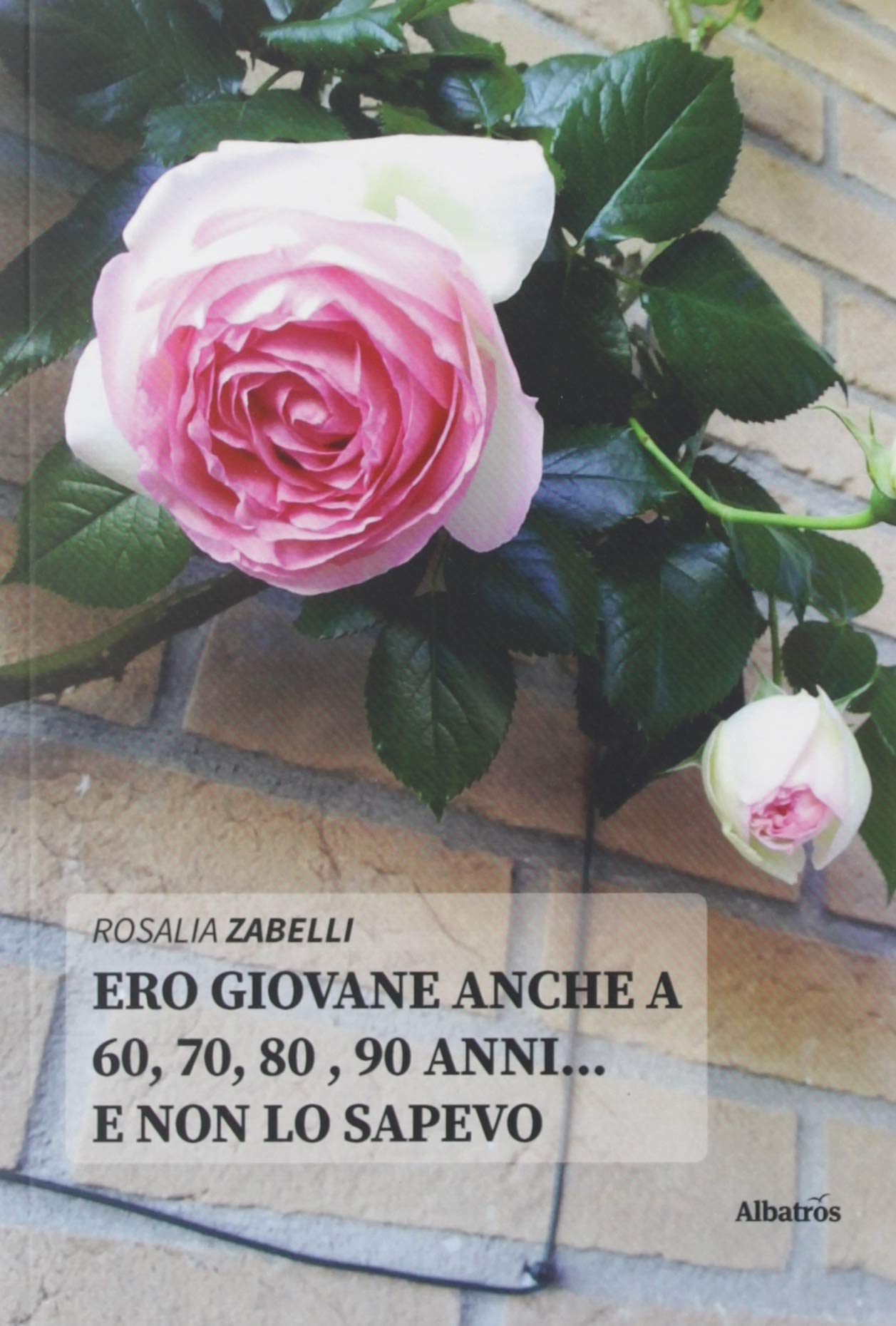 Ero giovane anche a 60, 70, 80 , 90 anni... e non lo sapevo (Nuove voci. Strade) Contemporary literature