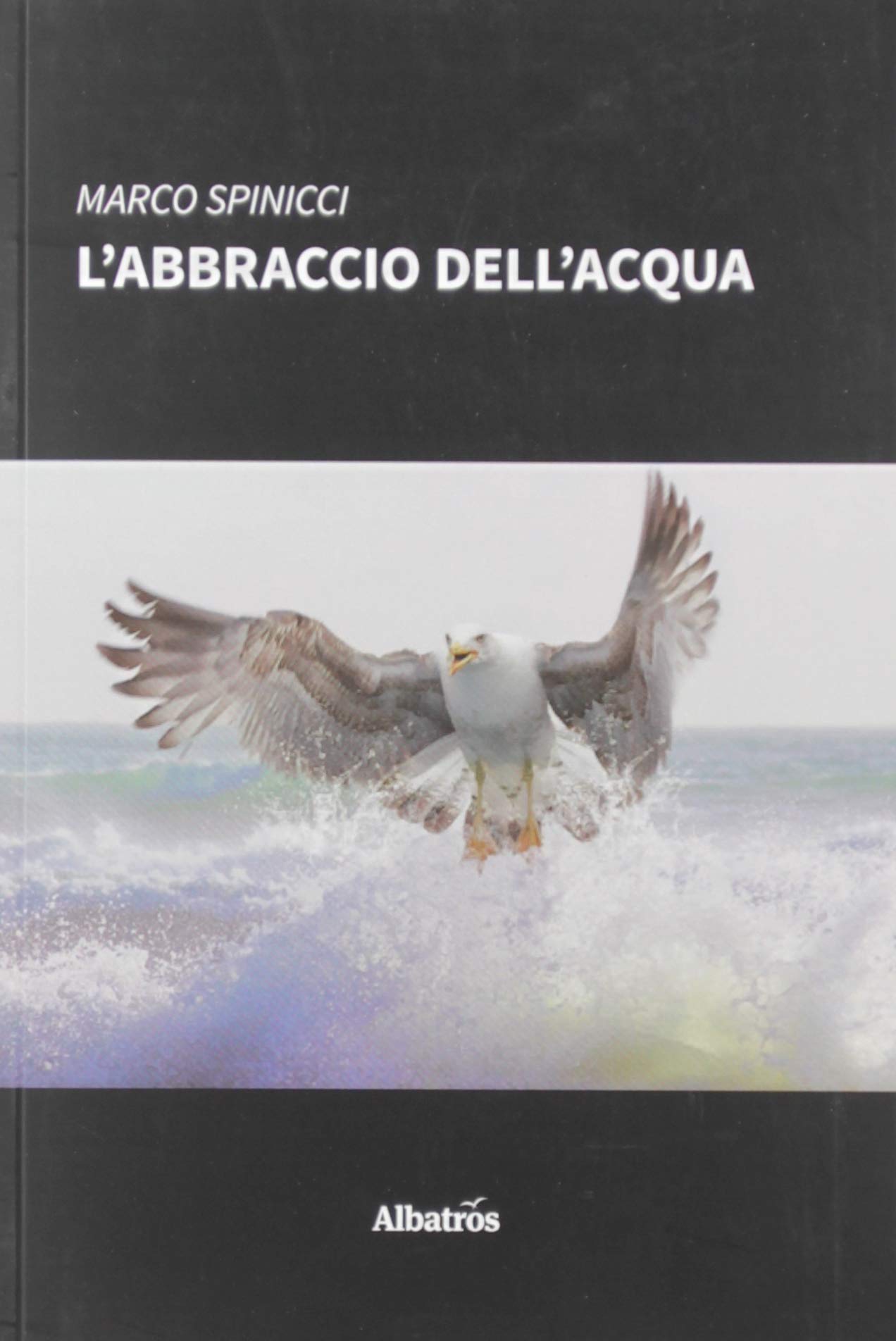 L'abbraccio dell'acqua (Nuove voci) Contemporary literature