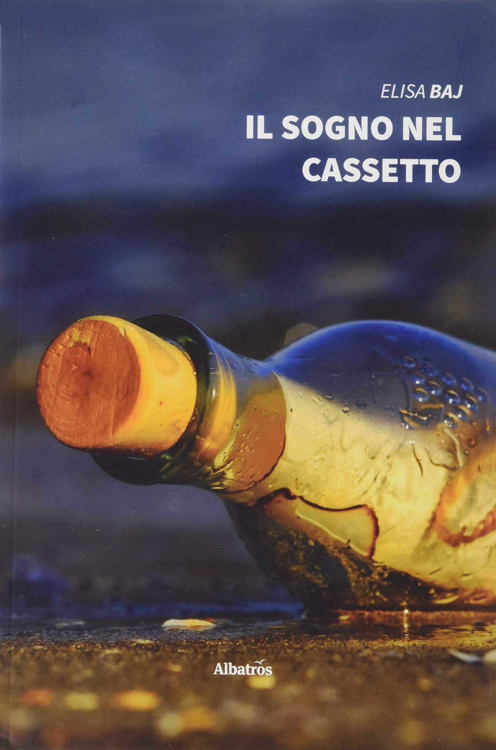 Il sogno nel cassetto (Nuove voci. Strade) Contemporary literature
