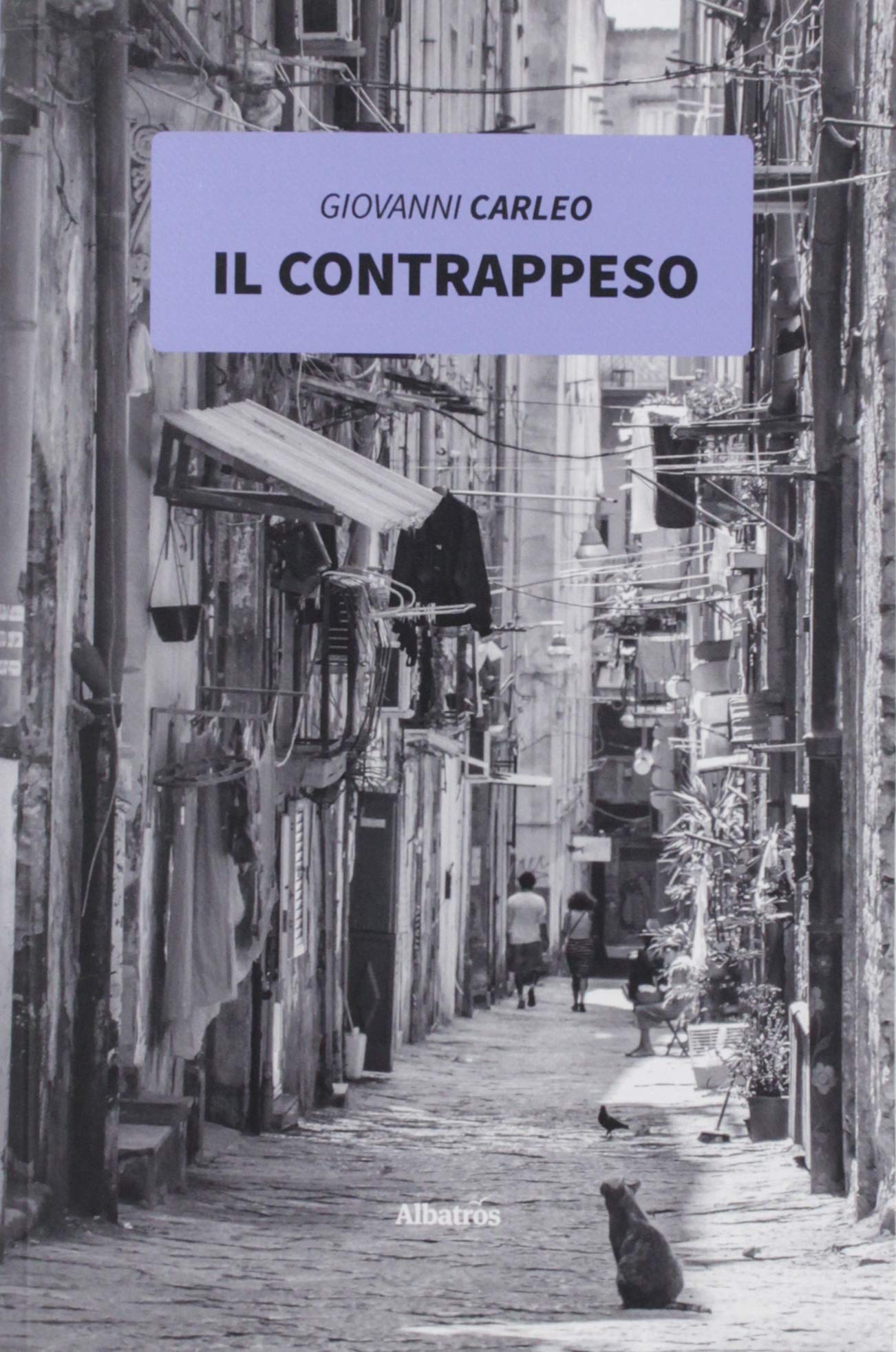 Il contrappeso (Nuove voci. Strade) Contemporary literature