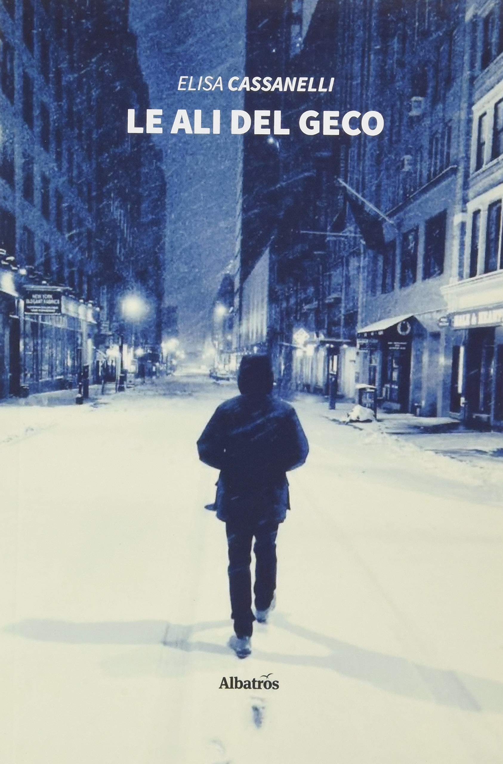 Le ali del geco (Nuove voci. Strade) Contemporary literature