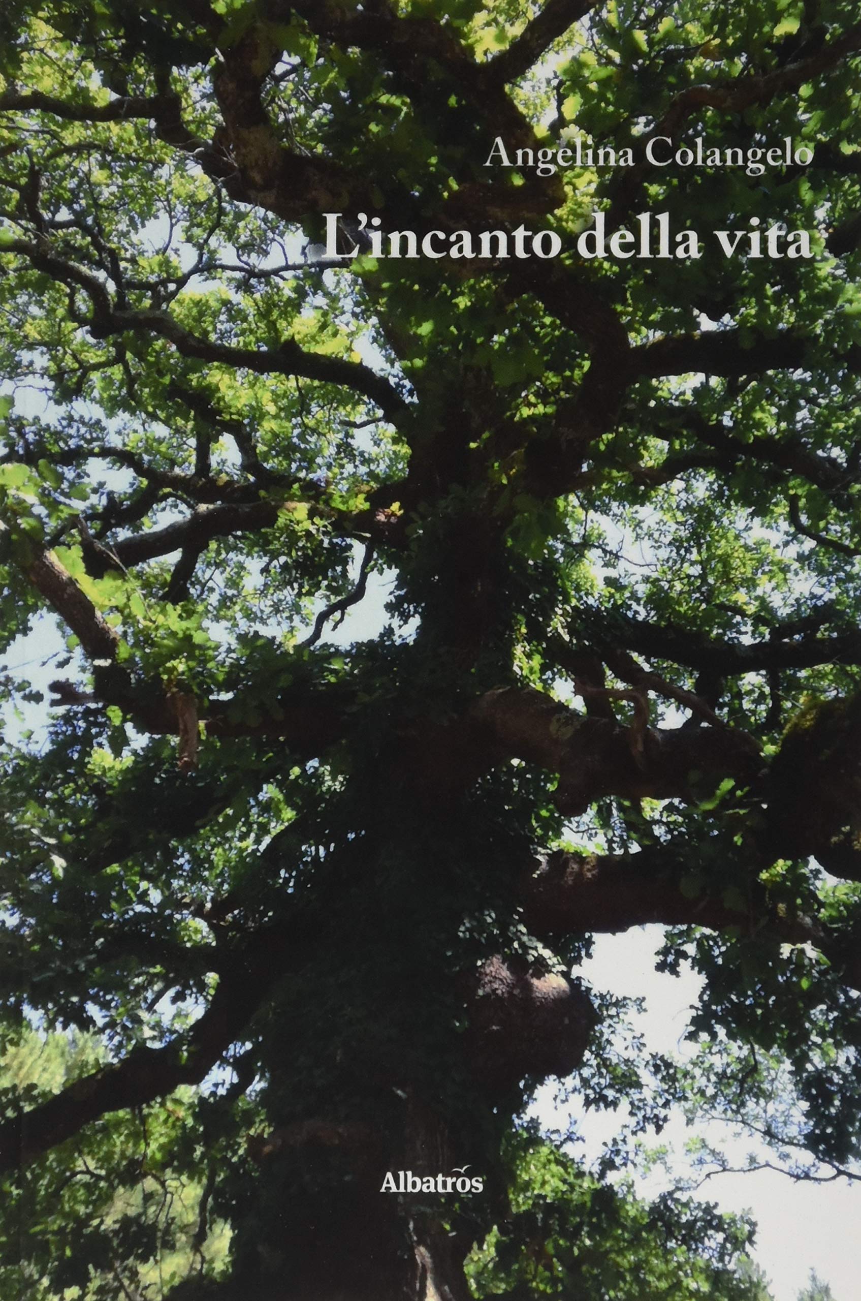 L'incanto della vita (Nuove voci. Le piume) Poetry