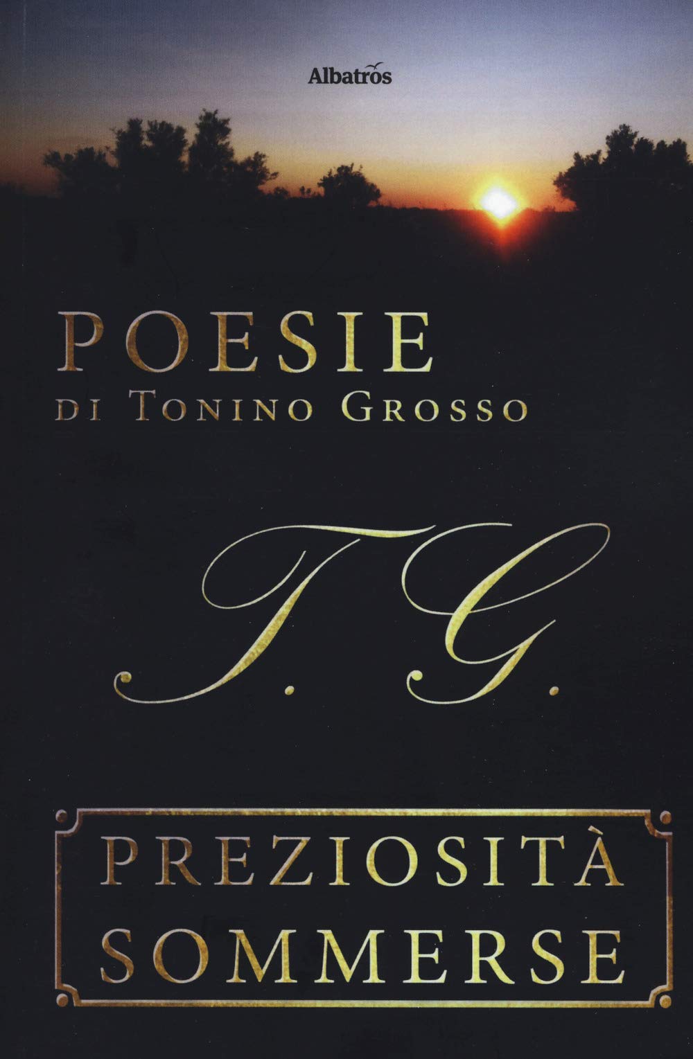 Preziosità sommerse (Nuove voci. Le piume) Poetry