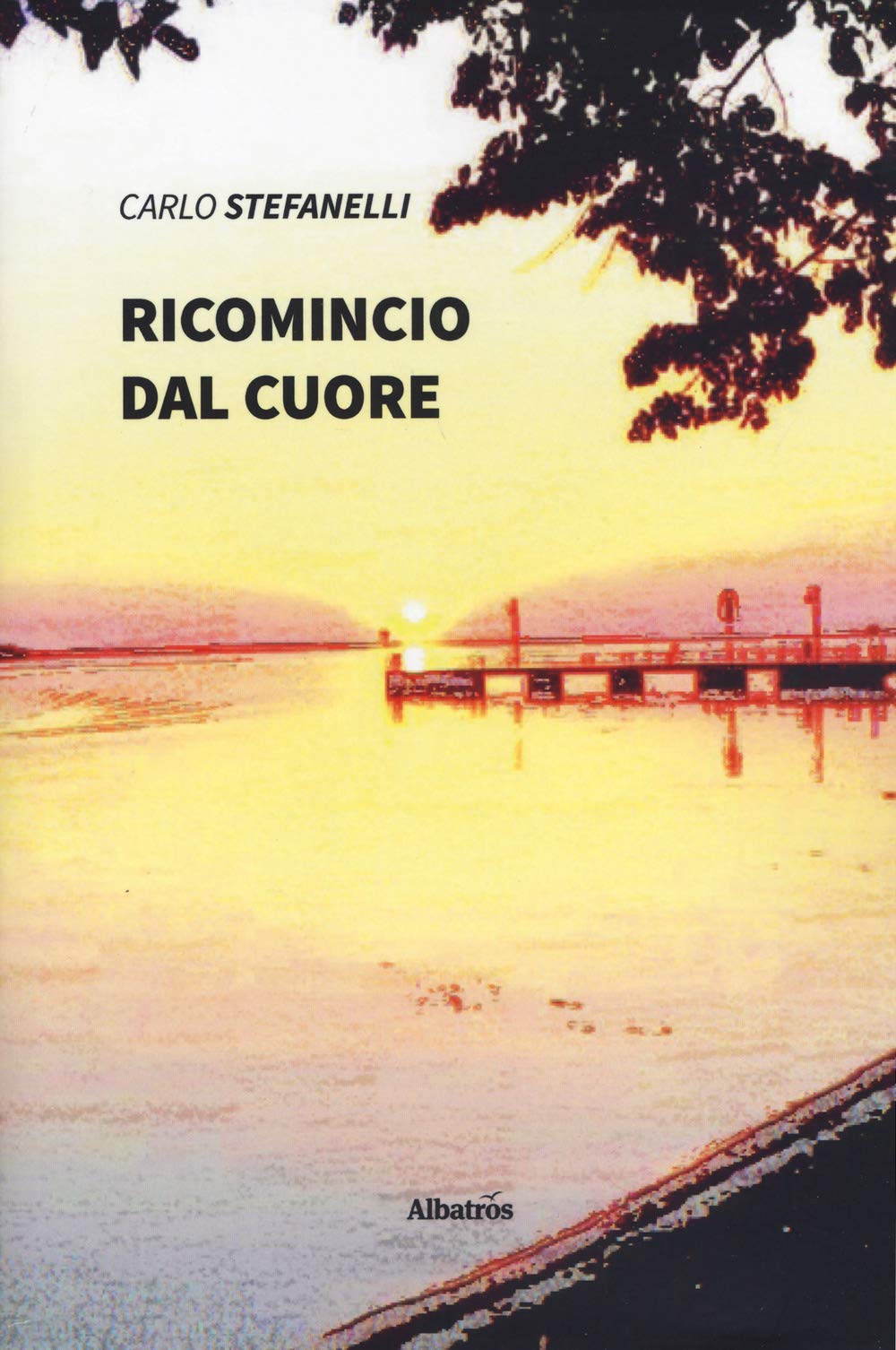 Ricomincio dal cuore (Nuove voci. Strade) Contemporary literature