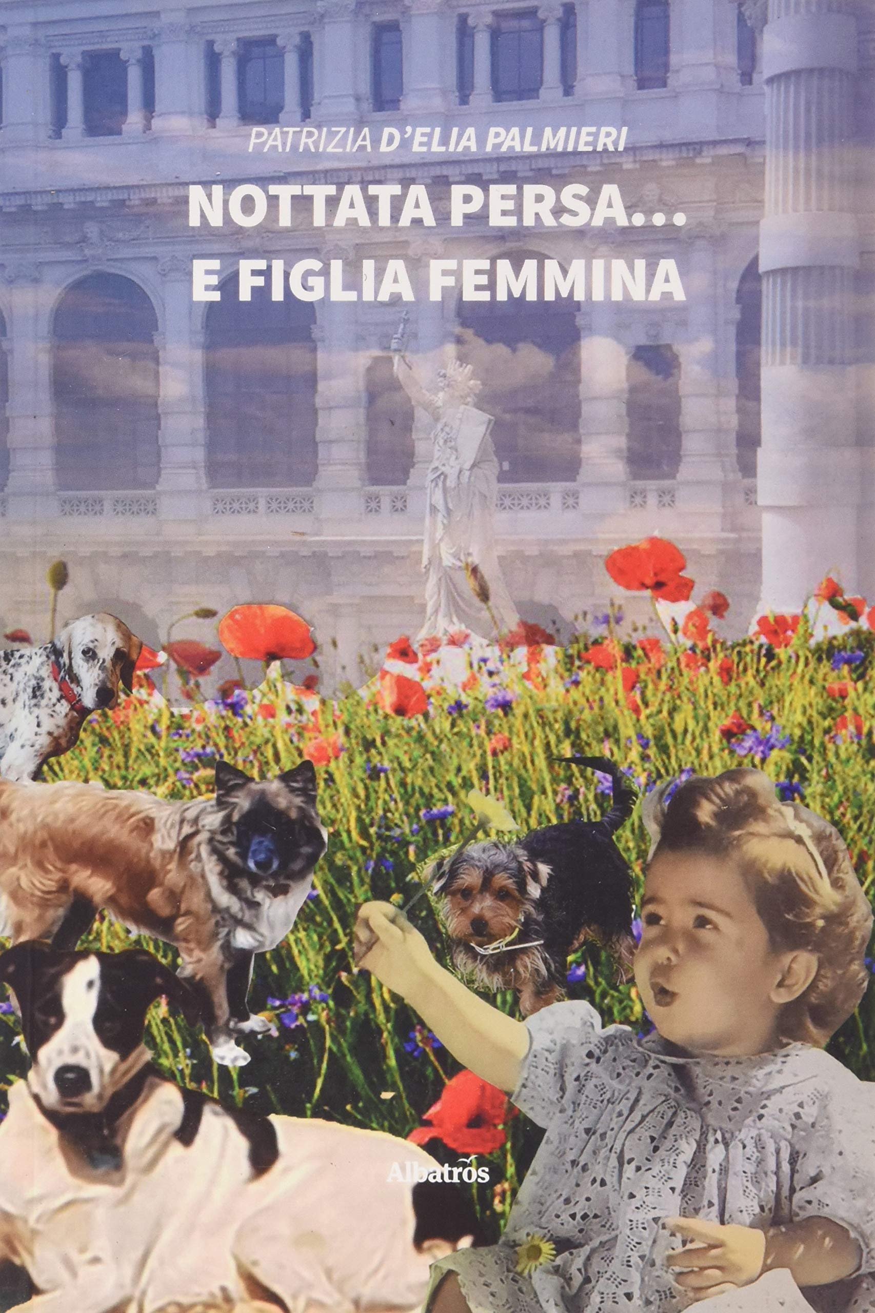 Nottata persa... e figlia femmina (Nuove voci. Strade) Contemporary literature