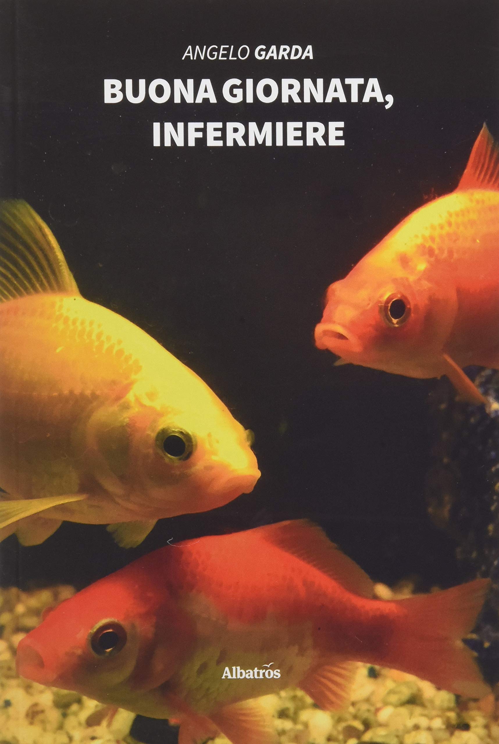 Buona giornata, infermiere book