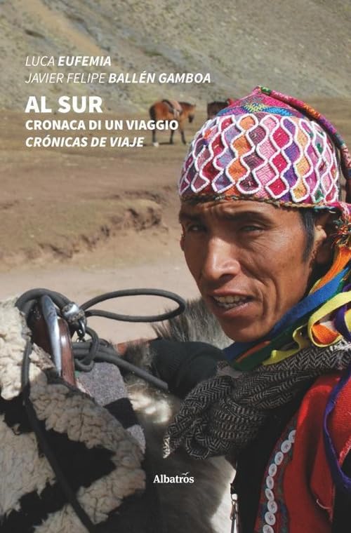 Al Sur. Cronaca di un viaggio (Nuove voci. Strade) Contemporary literature