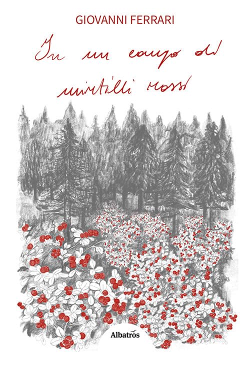 In un campo di mirtilli rossi book